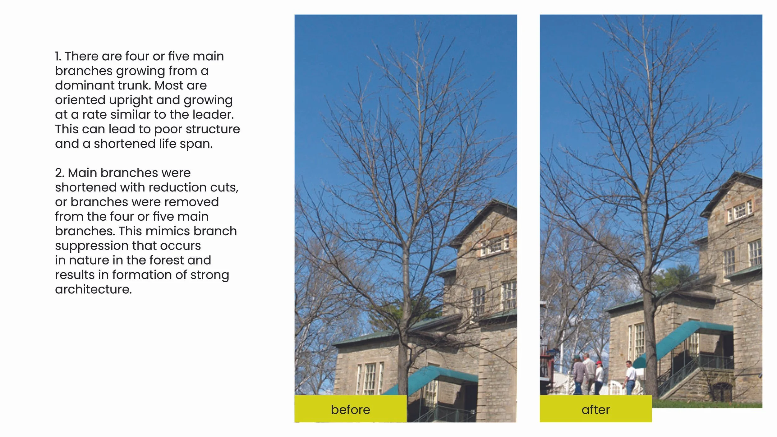 Structural Pruning Pages14.jpg