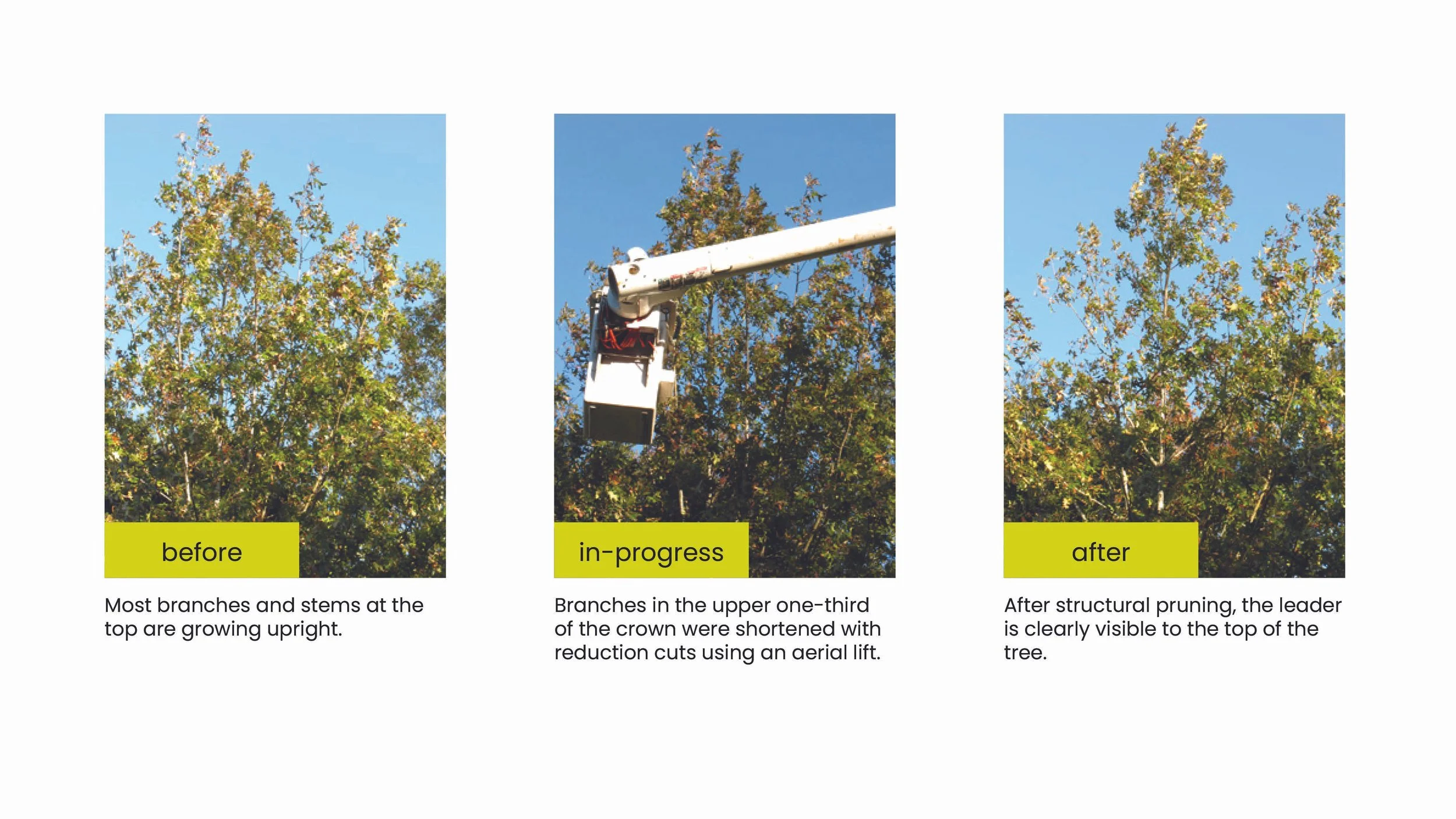 Structural Pruning Pages21.jpg