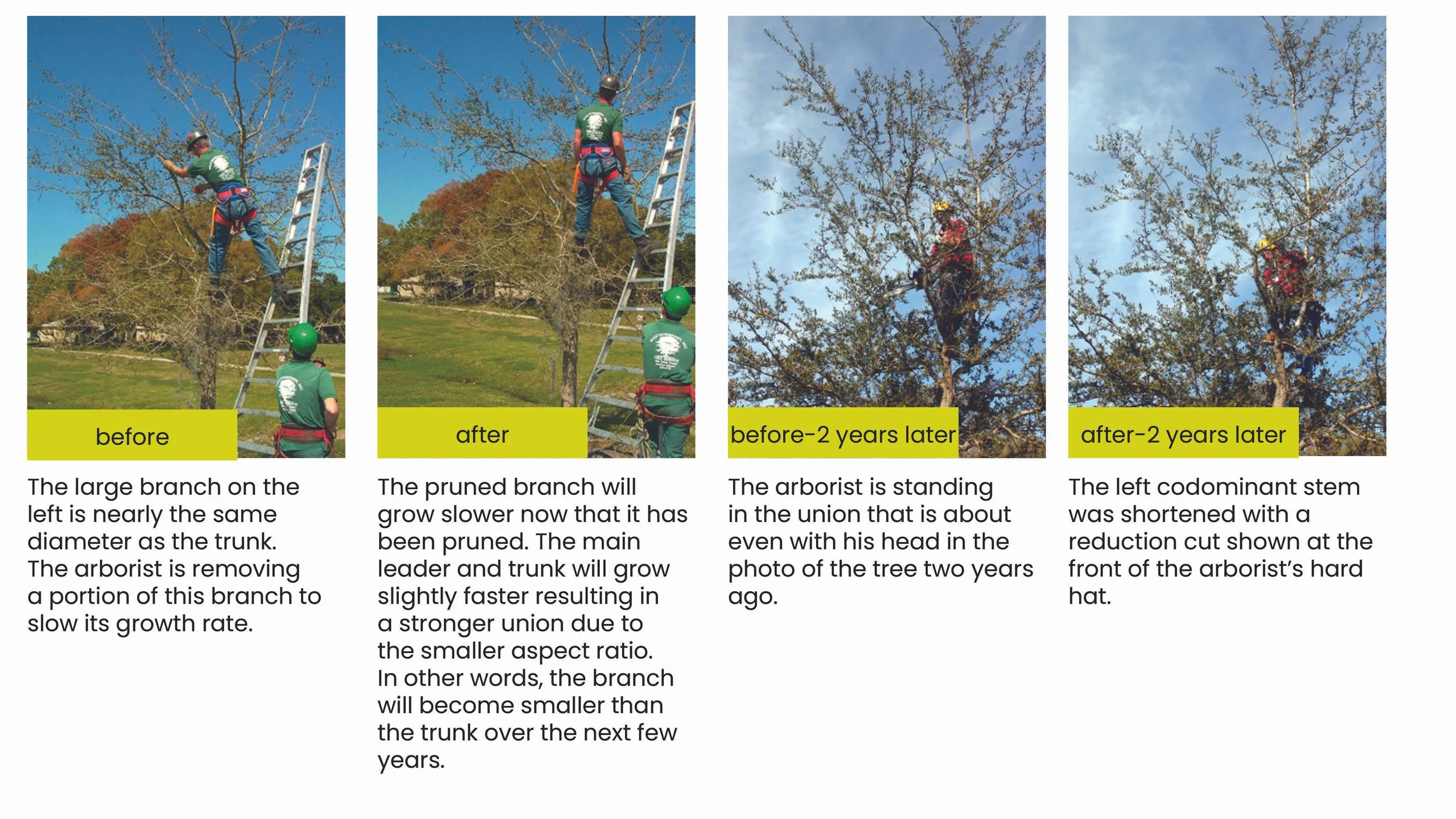 Structural Pruning Pages9.jpg