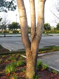 Upright Orientation 1.jpg