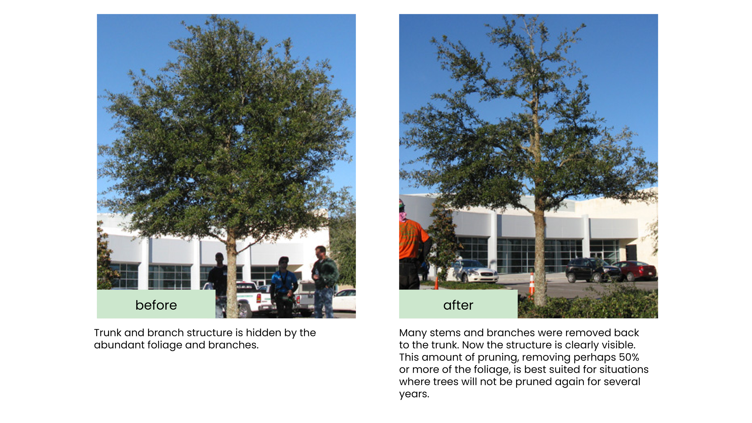 Structural Pruning Pages8.png