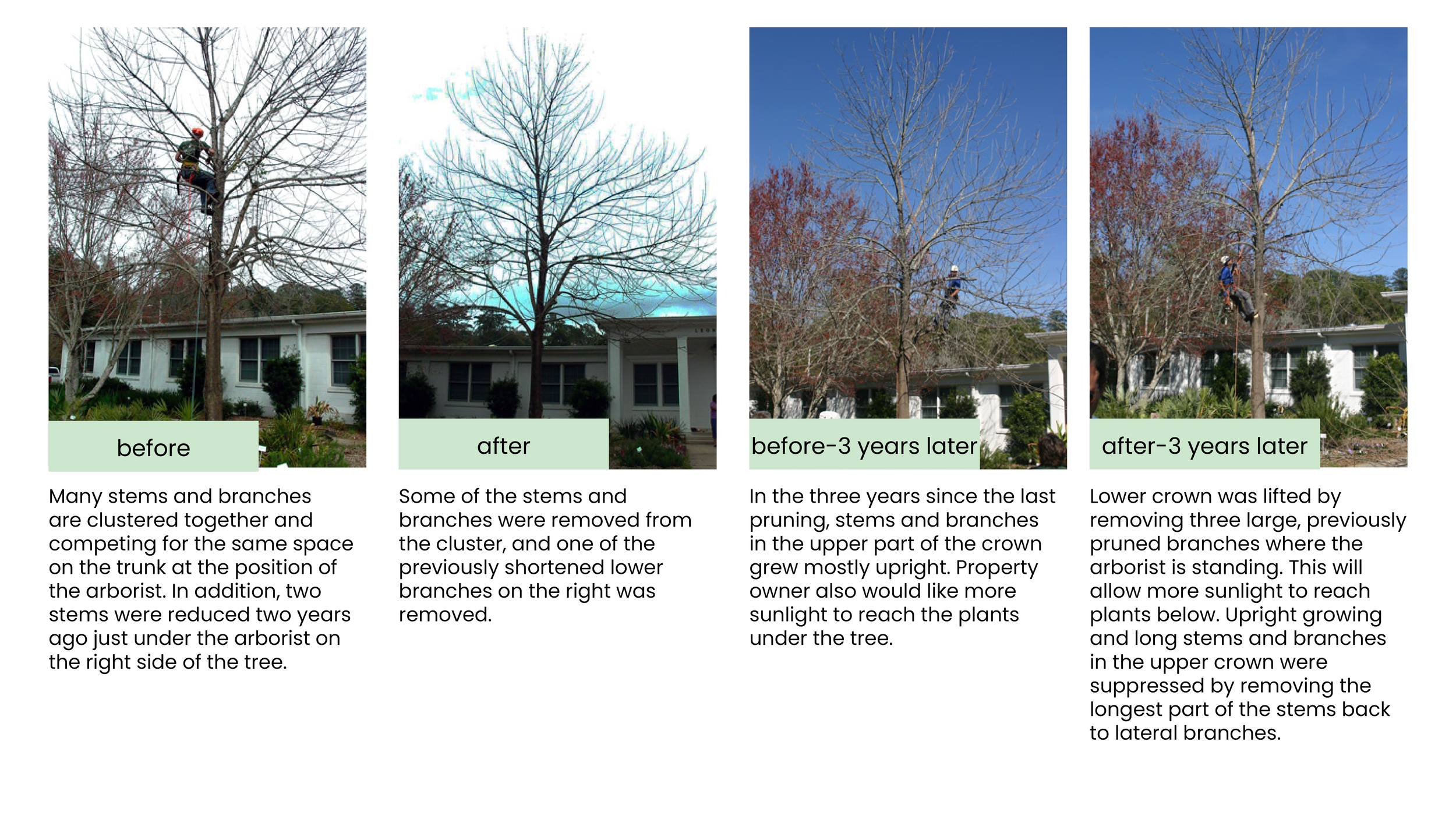 Structural Pruning Pages22.png