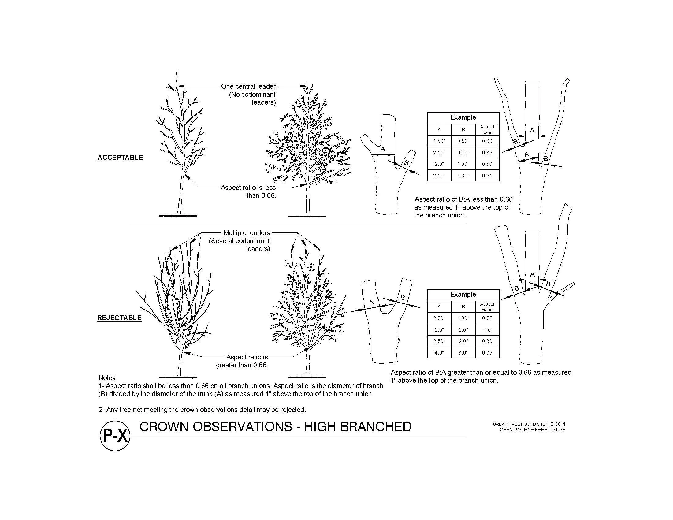 Technical diagram showing acceptable and rejectable crown observations for high-branched trees, with details on aspect ratio measurements at branch unions.
