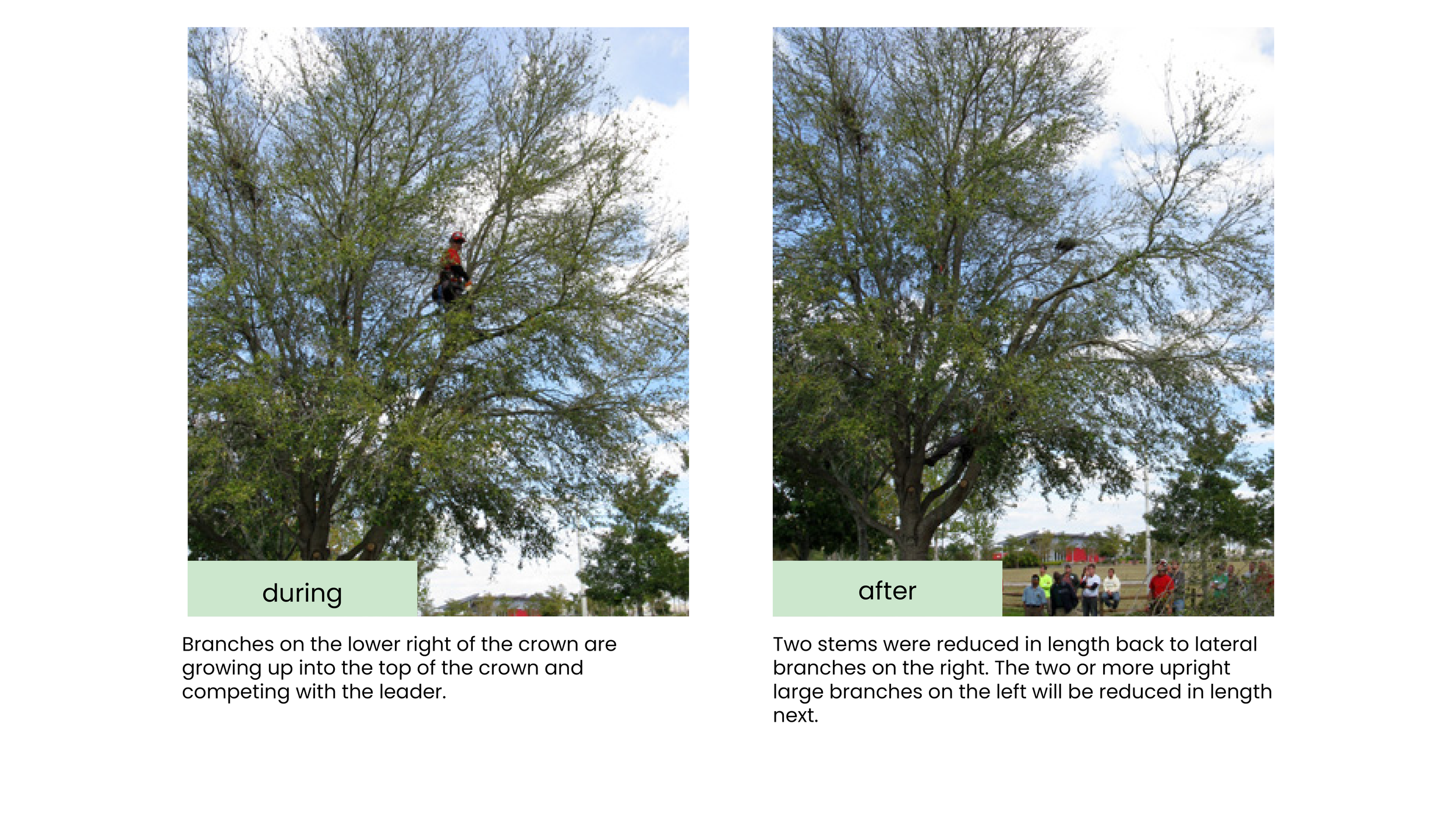 Structural Pruning Pages19.png