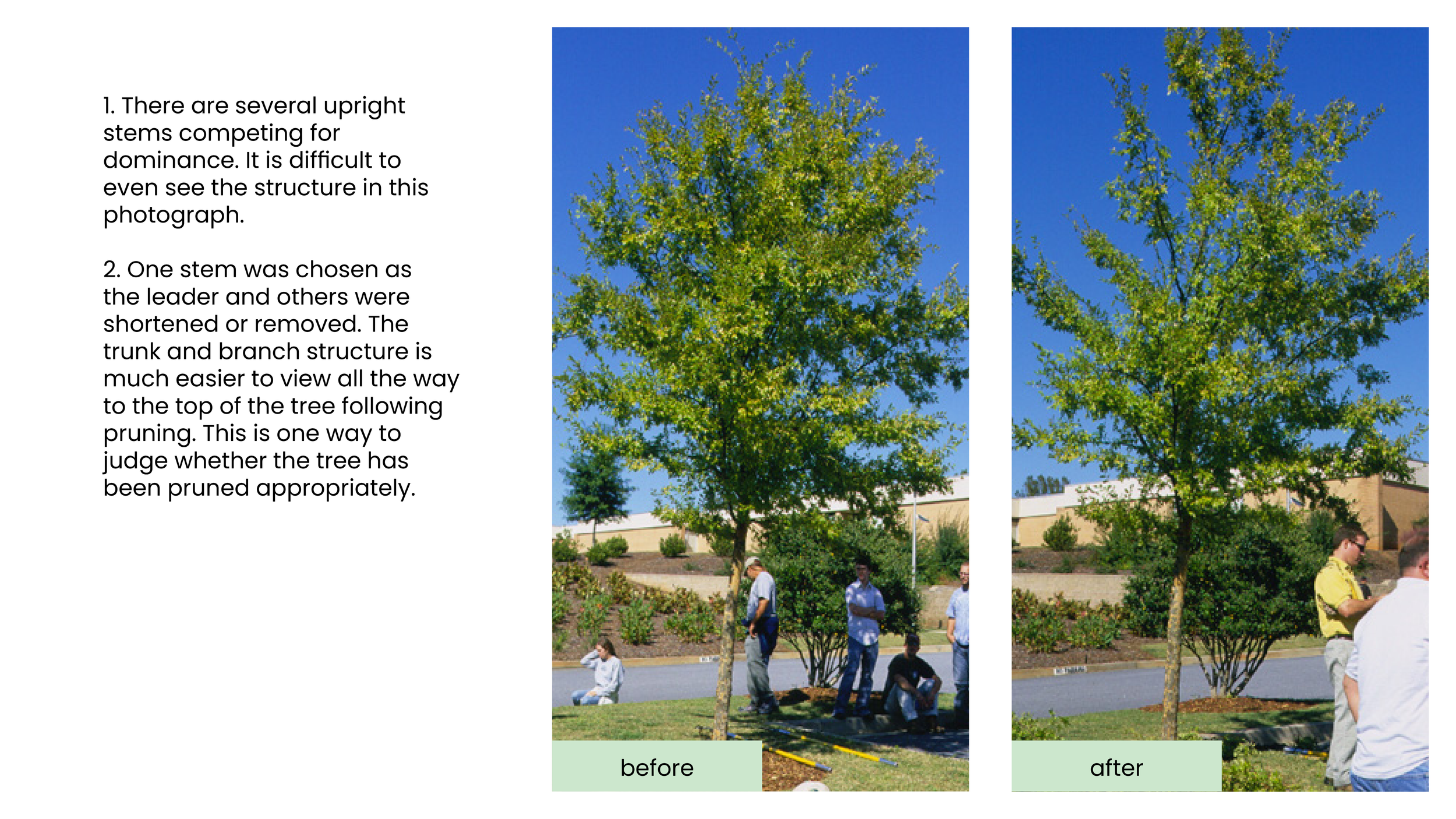 Structural Pruning Pages3.png