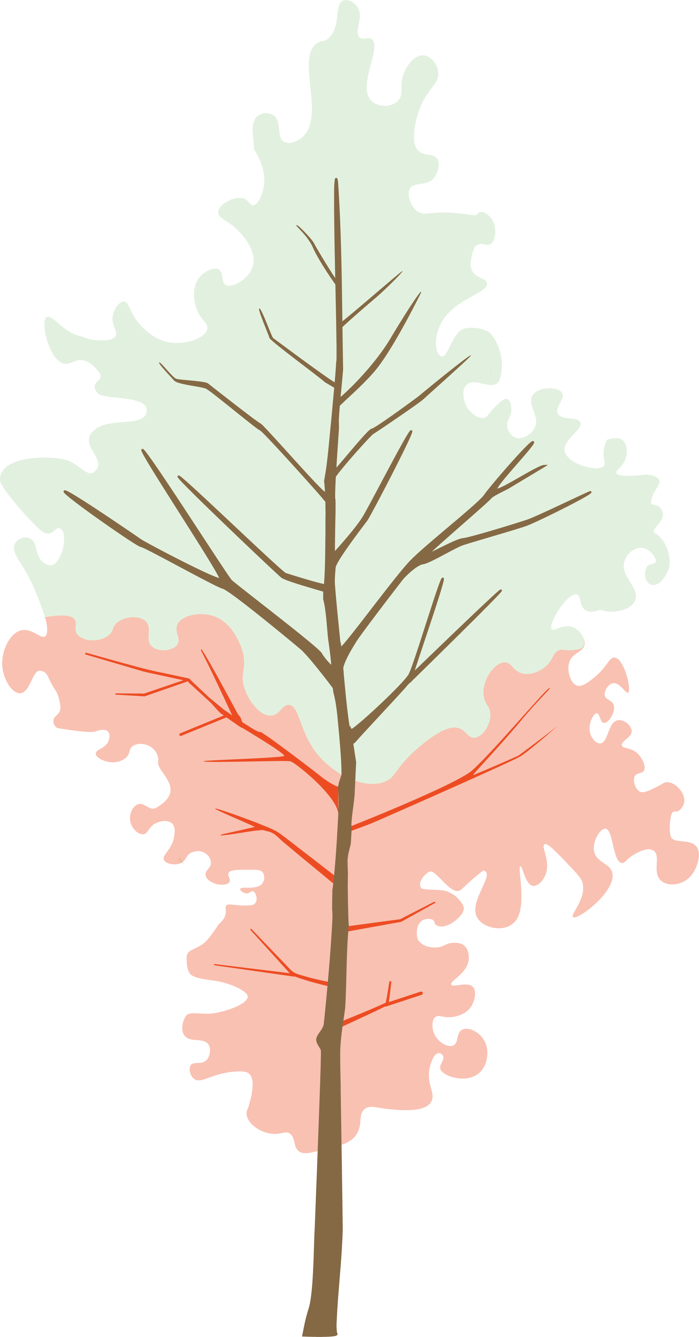 Diagram of a tree with leaves colored green and red, showing different parts of the tree.