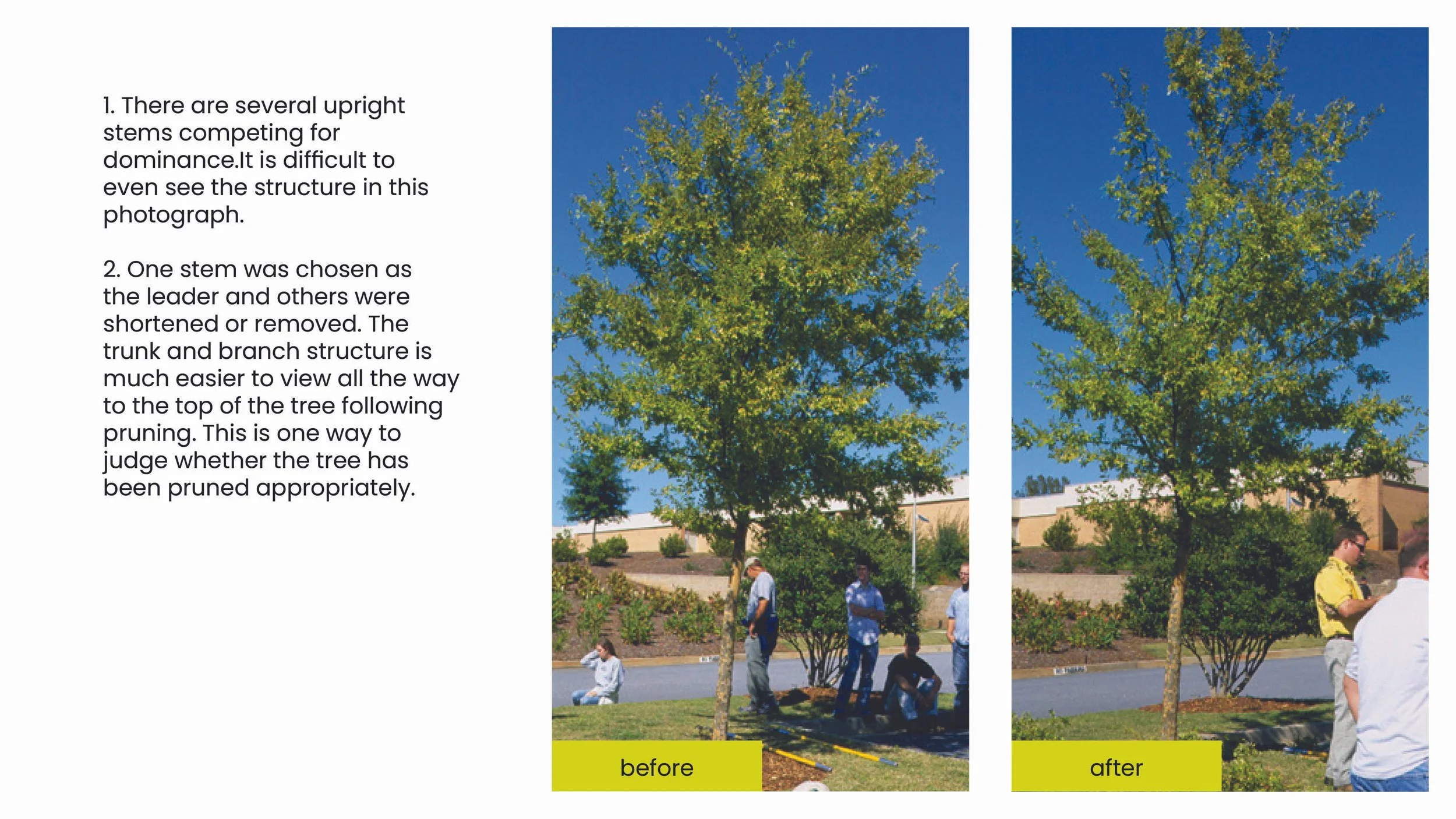 Structural Pruning Pages3.jpg