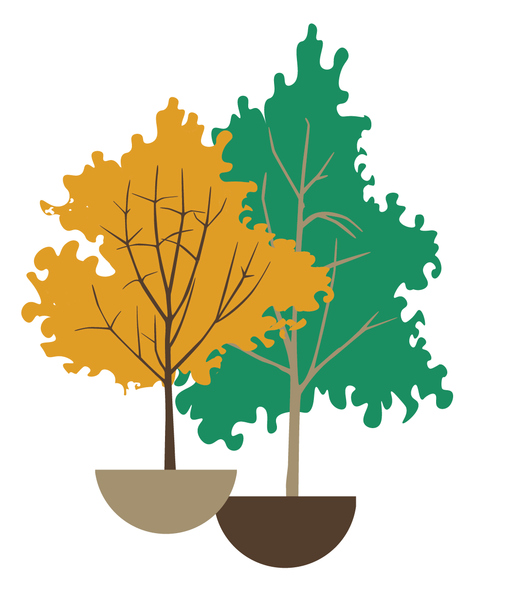 Two trees, one with gold leaves and the other with green leaves.