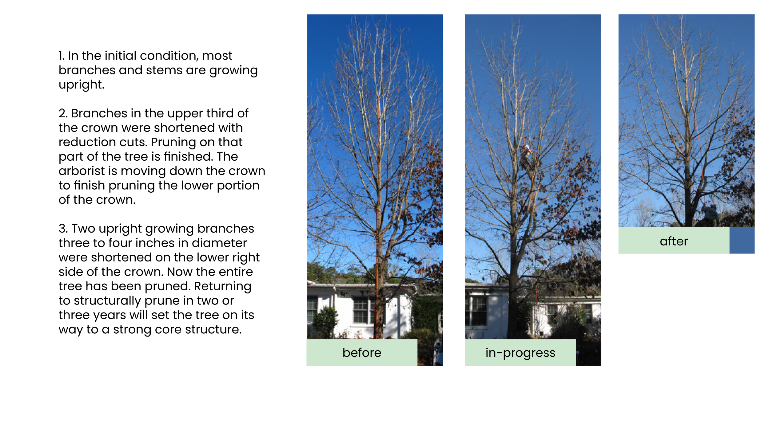 Structural Pruning Pages16.png