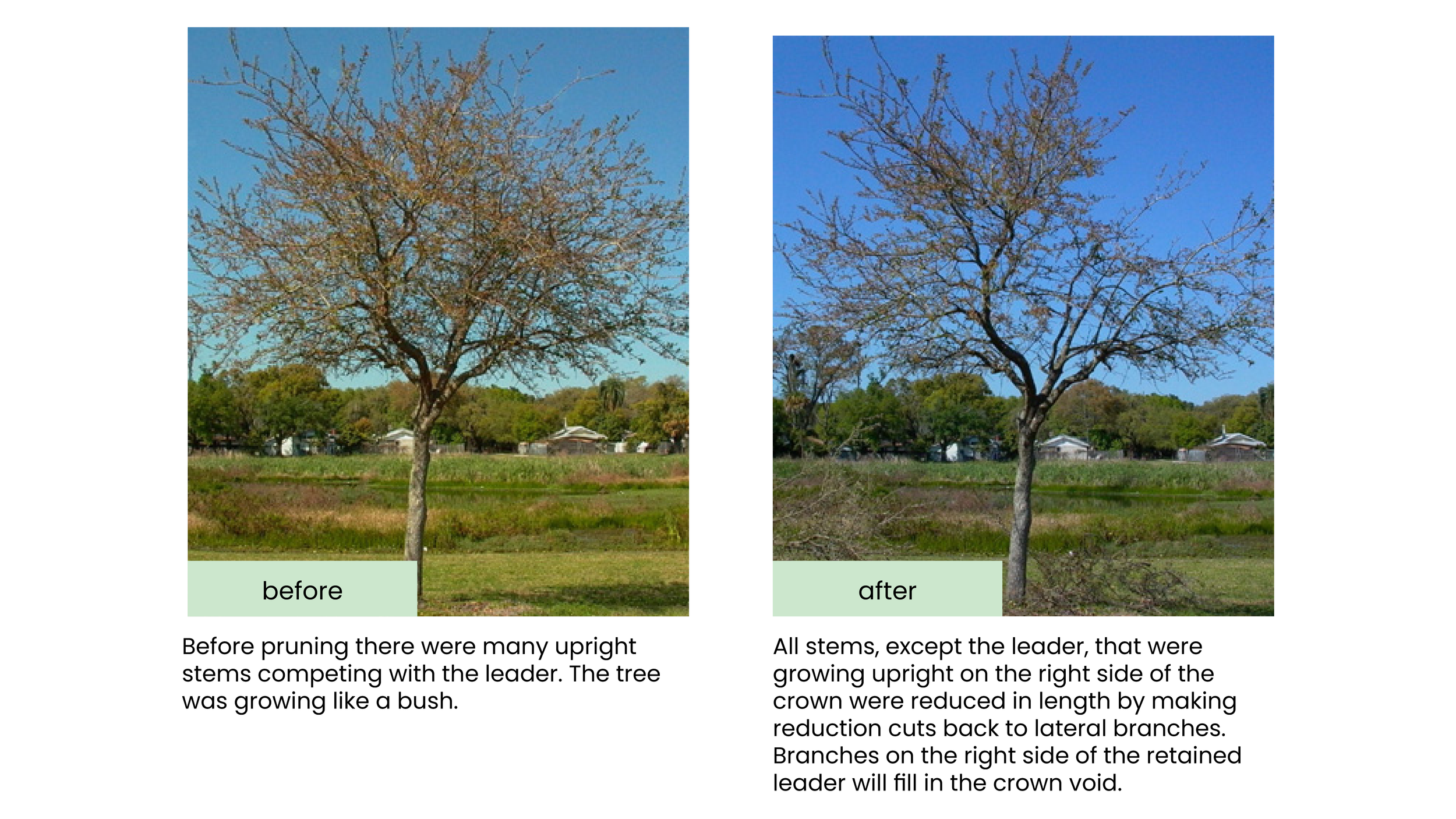 Structural Pruning Pages5.png
