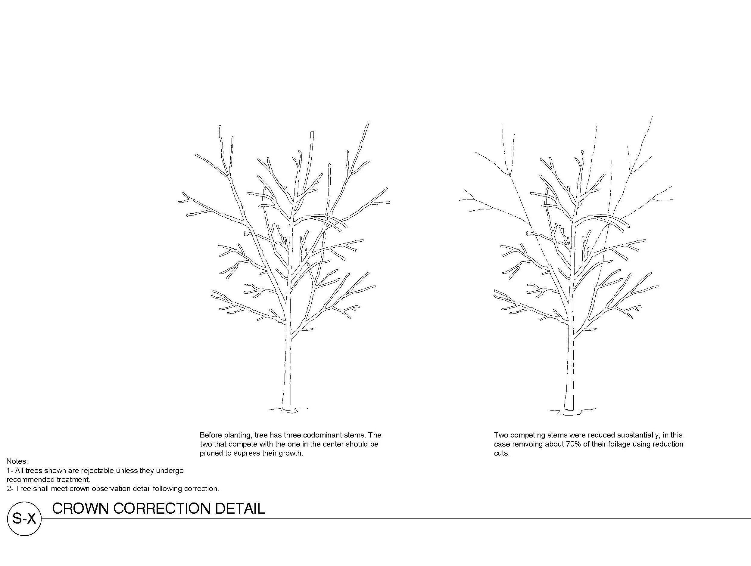 Technical diagram showing acceptable and rejectable crown observations for high-branching trees, with details on aspect ratios and branch measurements.
