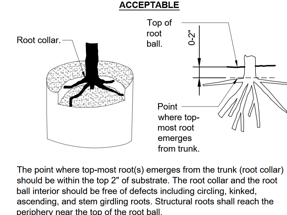 Technical diagram showing soil fracturing process for planting, with labeled steps, dimensions, and instructions.