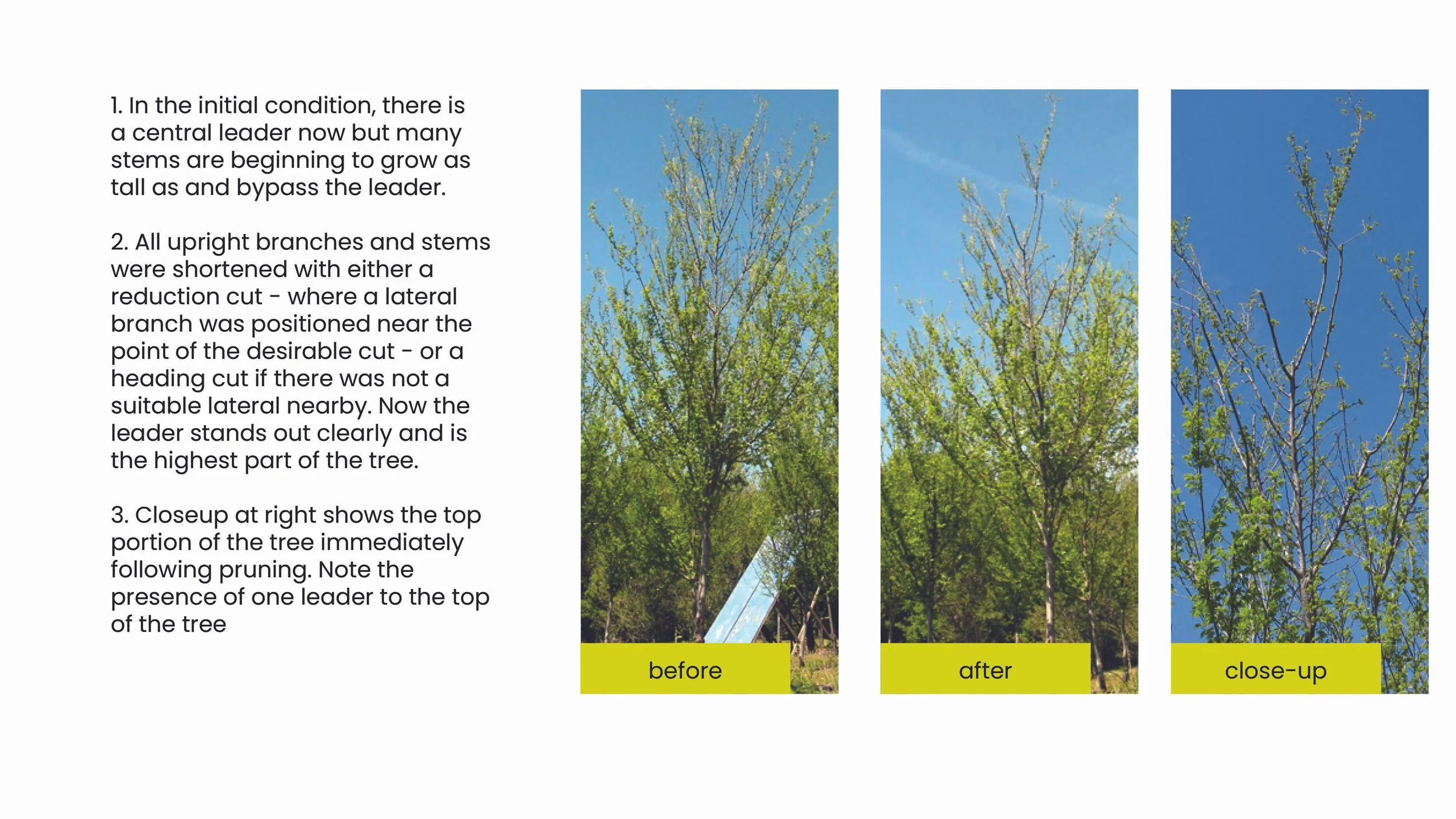Structural Pruning Pages-ex.jpg