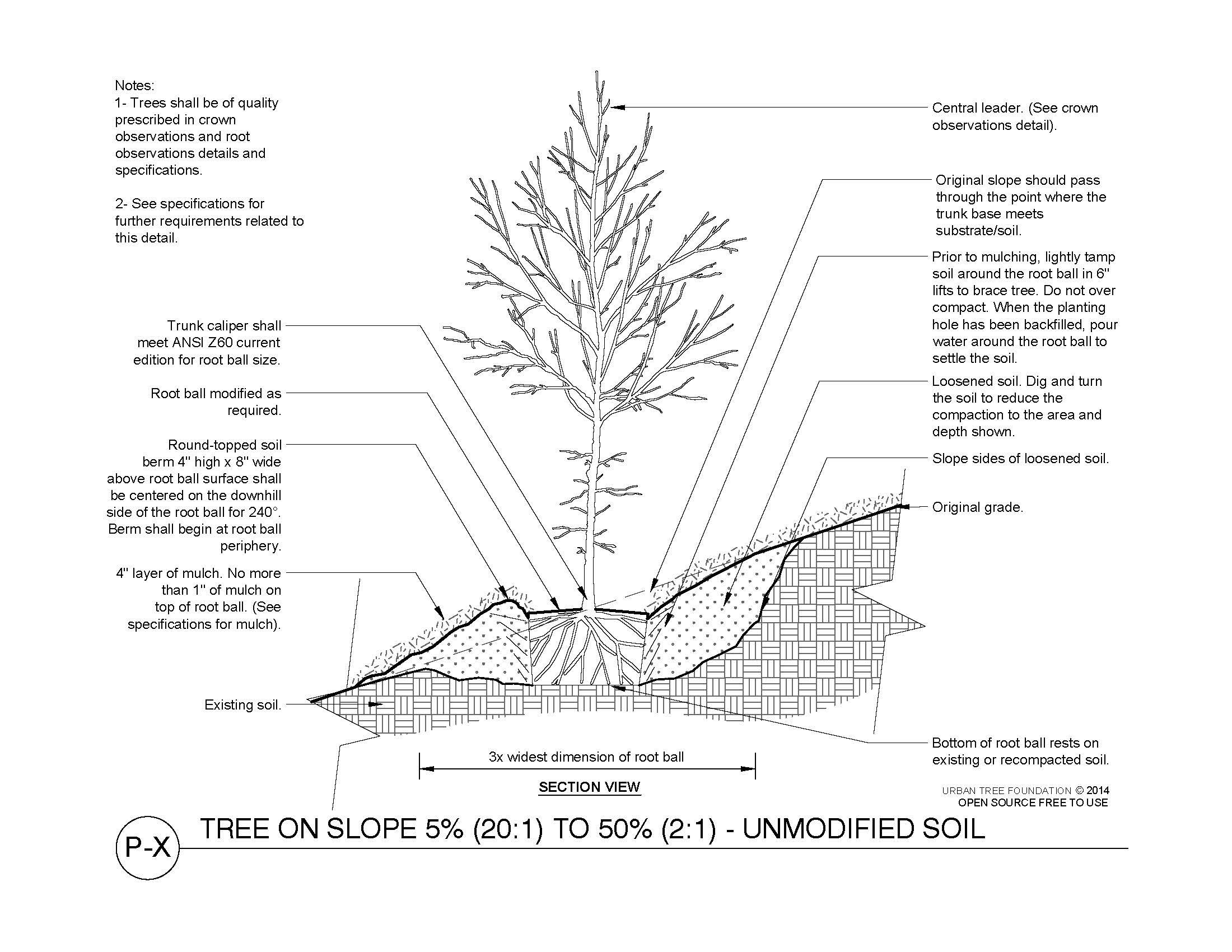 Technical diagram illustrating acceptable and rejectable crown observations for high-branch trees, showing branch aspect ratios and measurements.