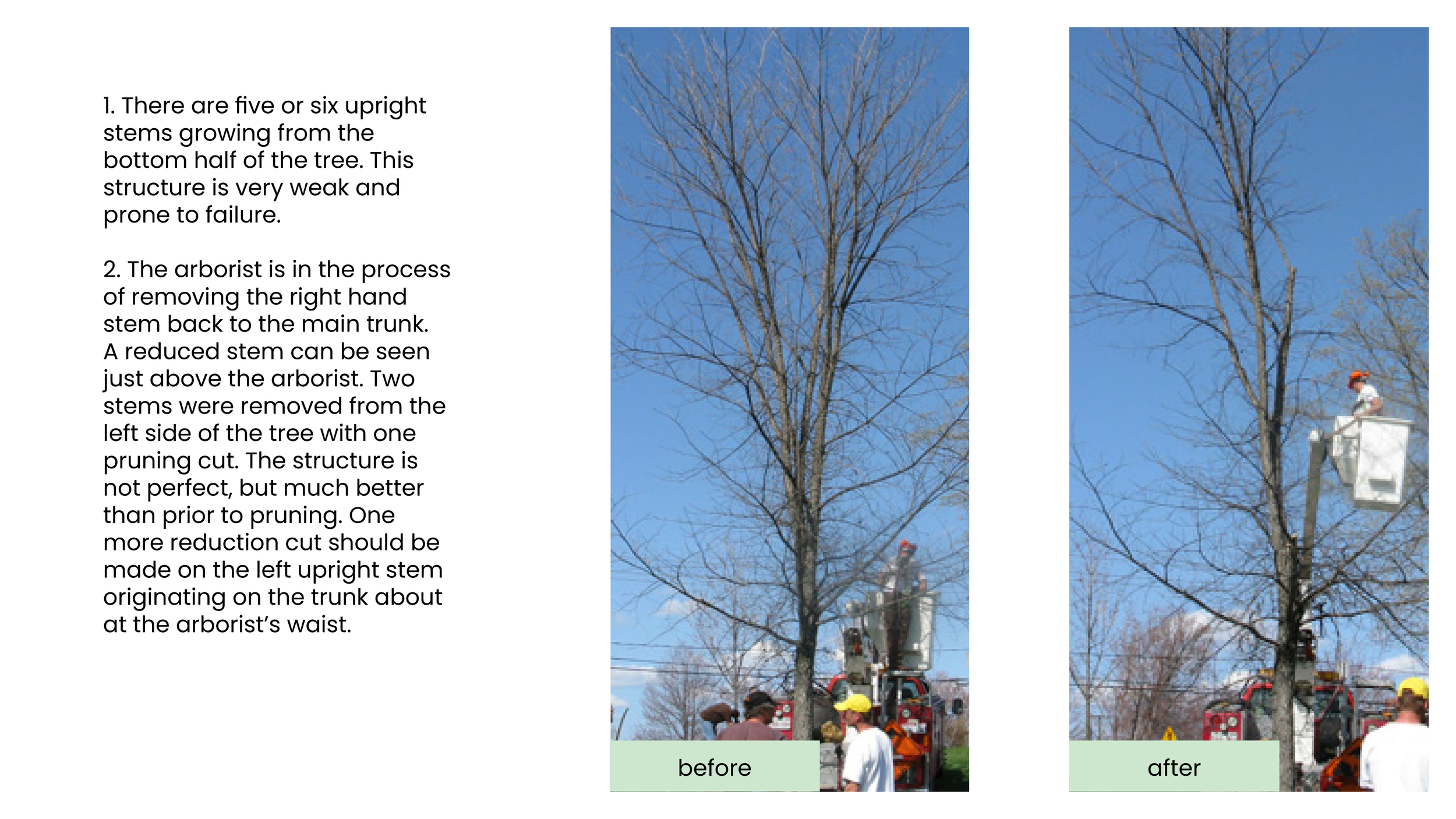 Structural Pruning Pages13.png