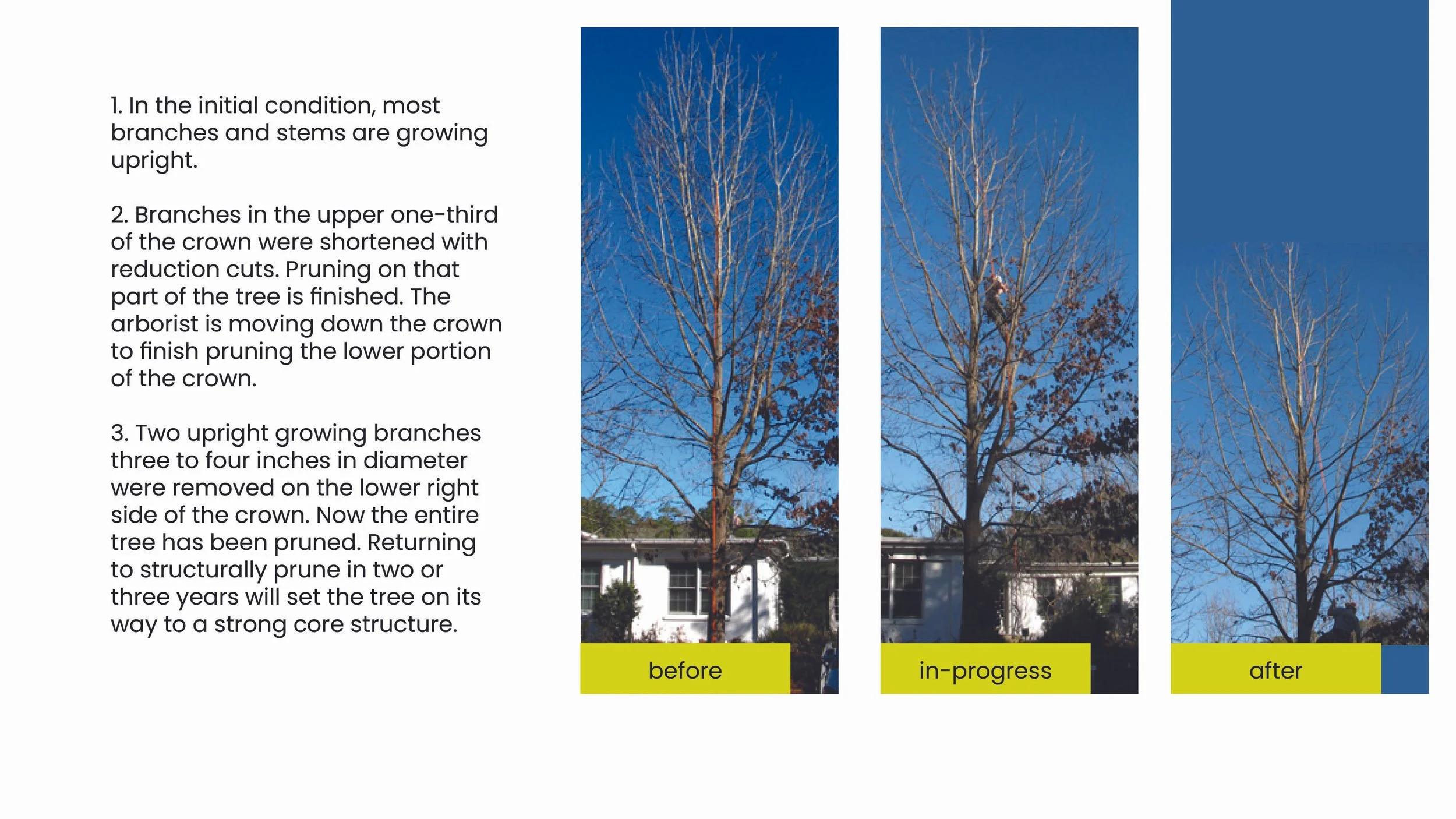 Structural Pruning Pages16.jpg