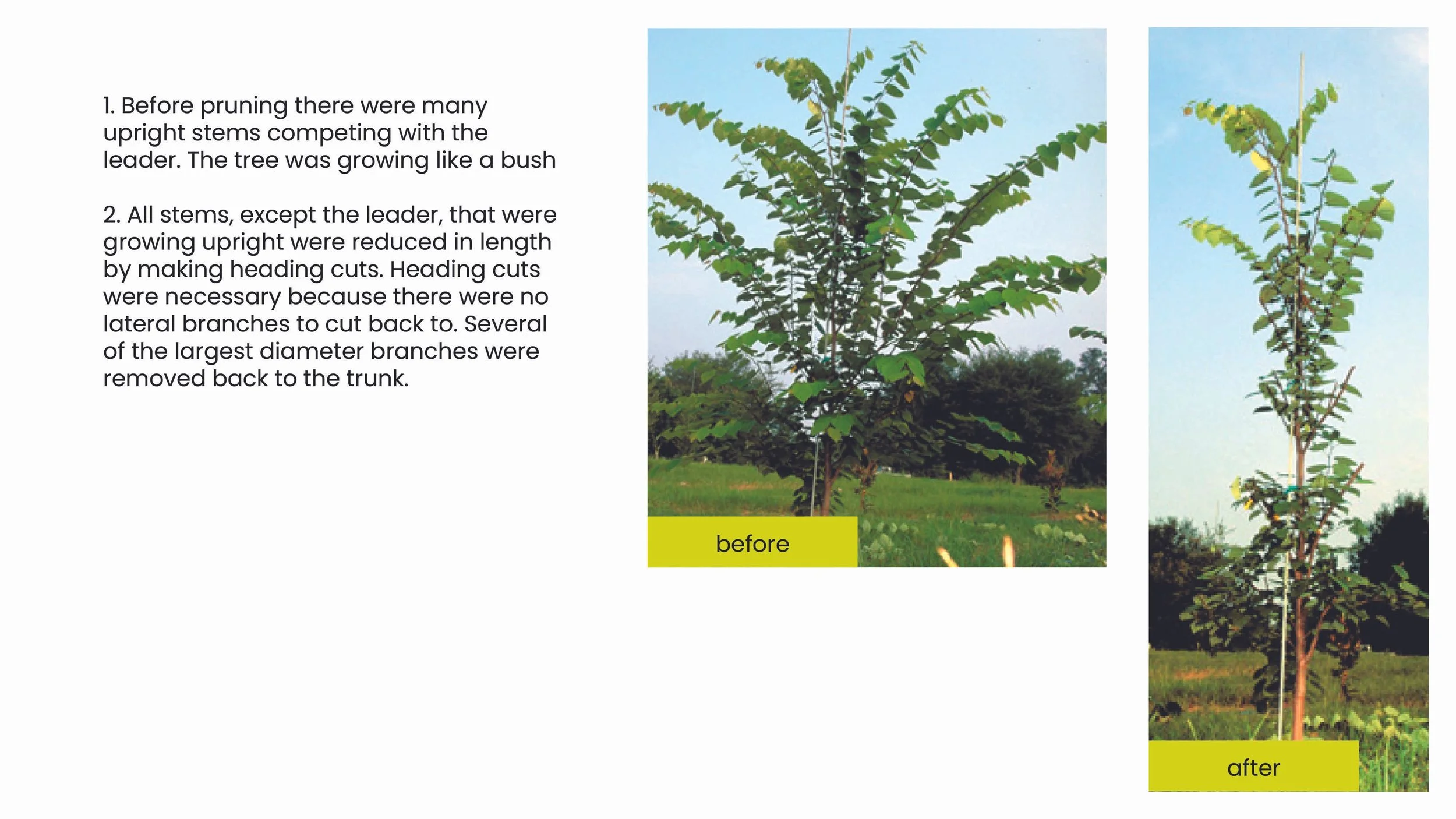 Structural Pruning Pages2.jpg