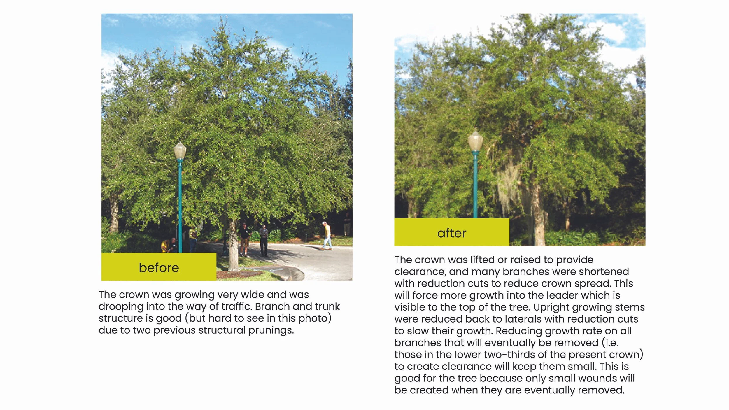 Structural Pruning Pages18.jpg
