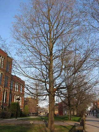 Strong Structure 6.jpg