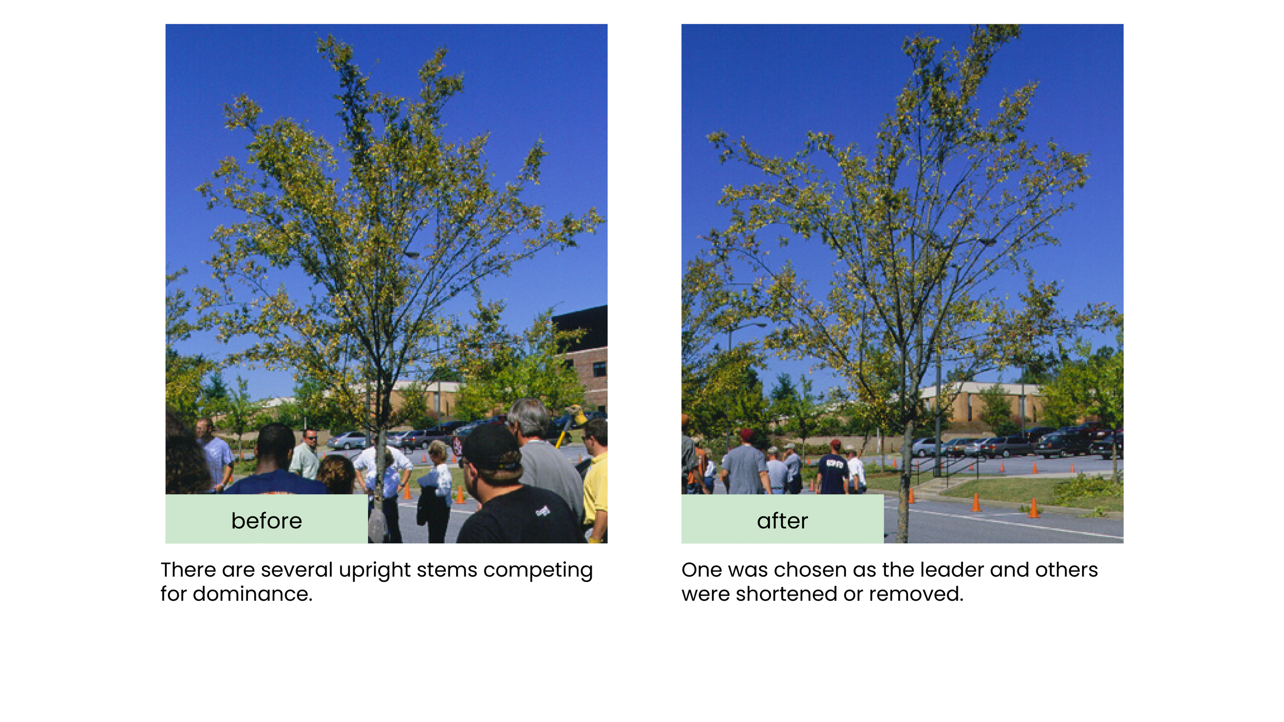 Structural Pruning Pages6.png