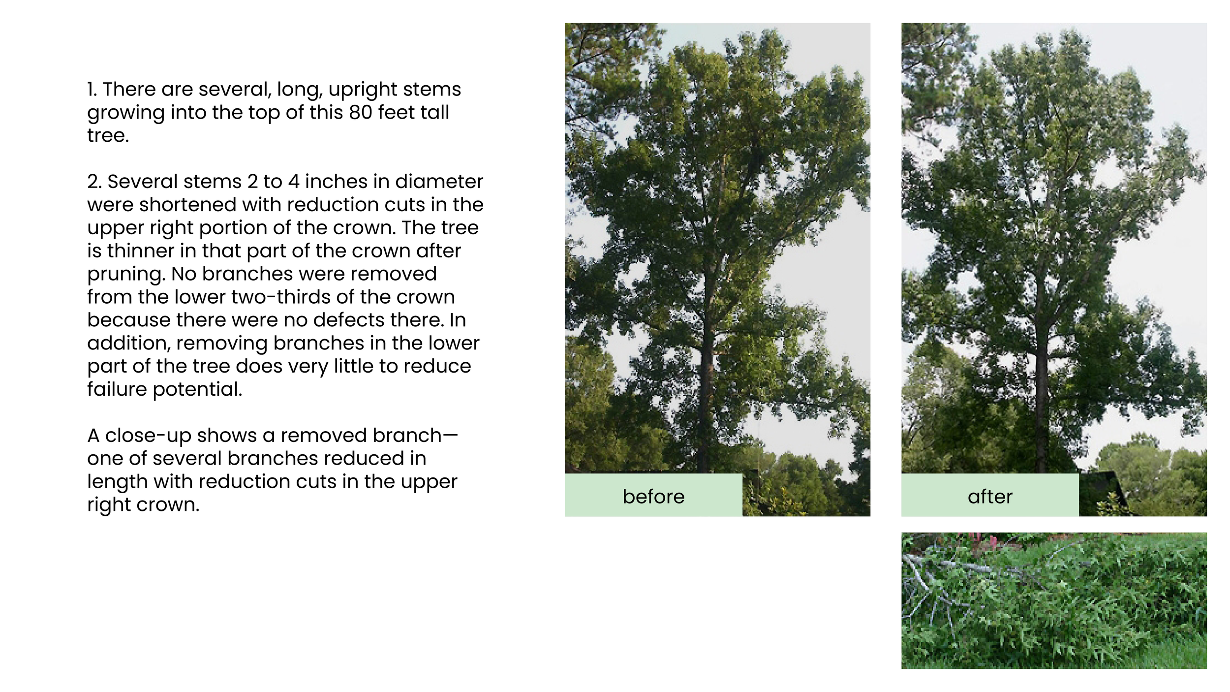 Structural Pruning Pages17.png
