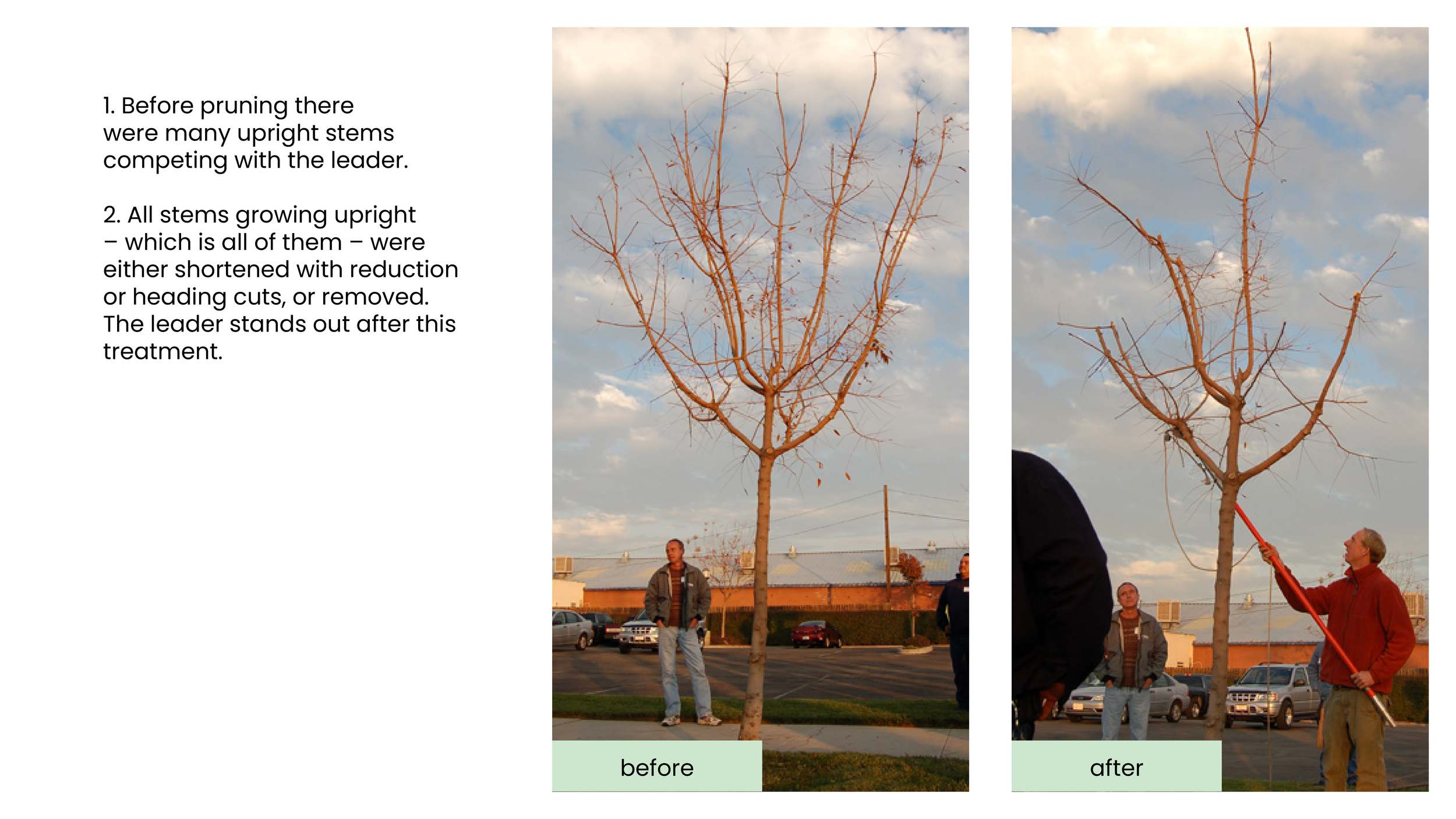 Structural Pruning Pages.png