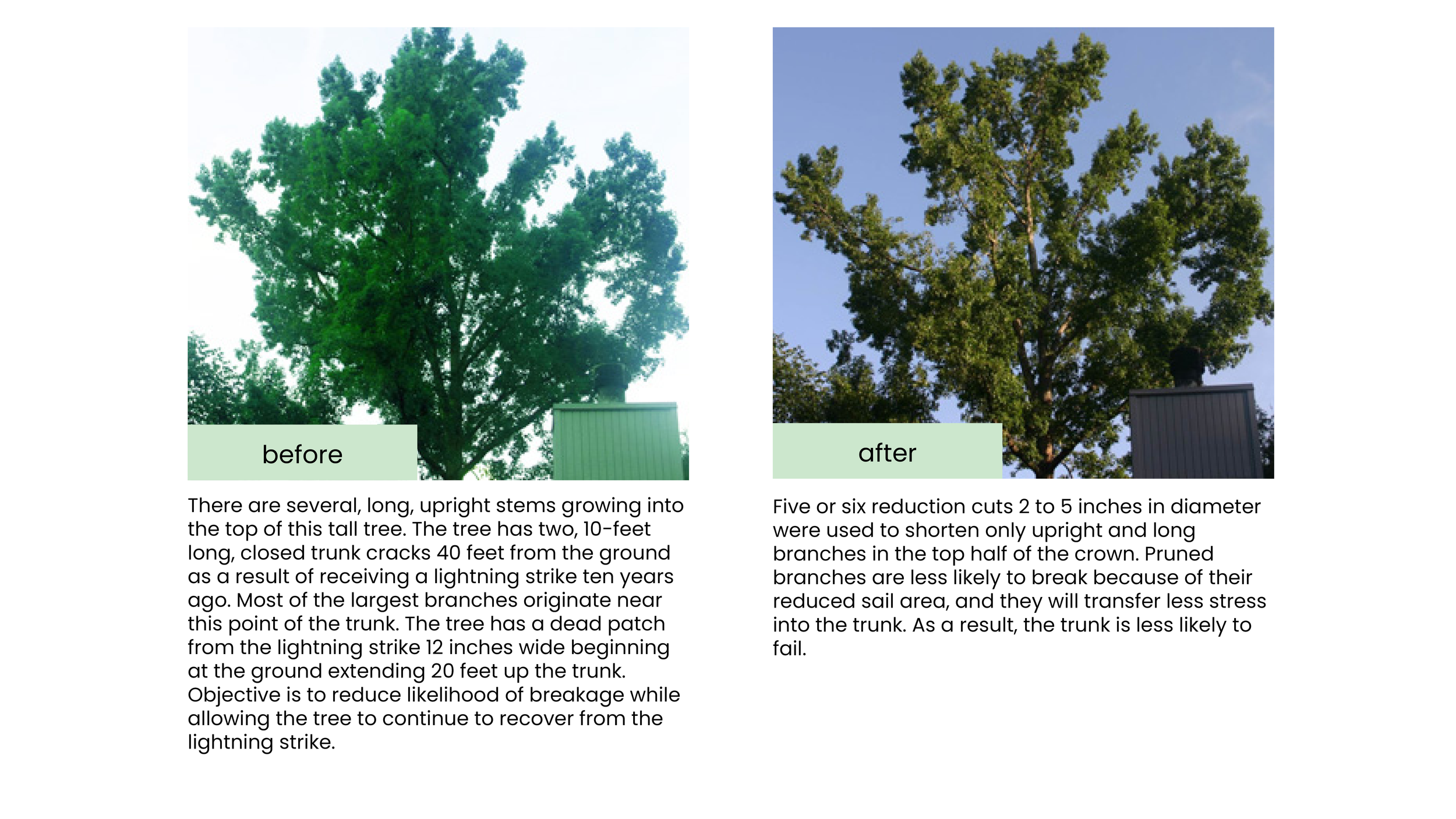 Structural Pruning Pages24.png