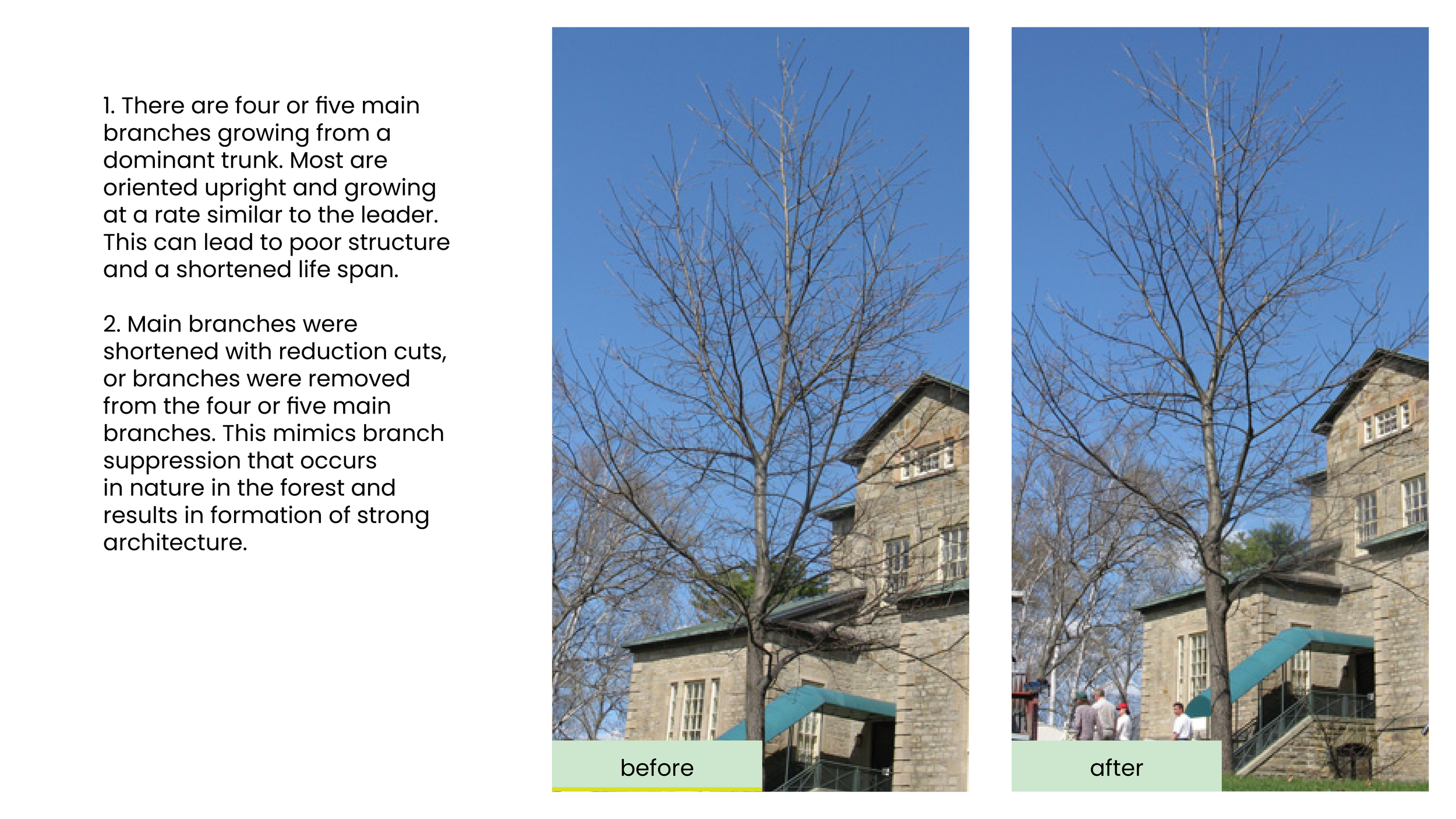 Structural Pruning Pages14.png