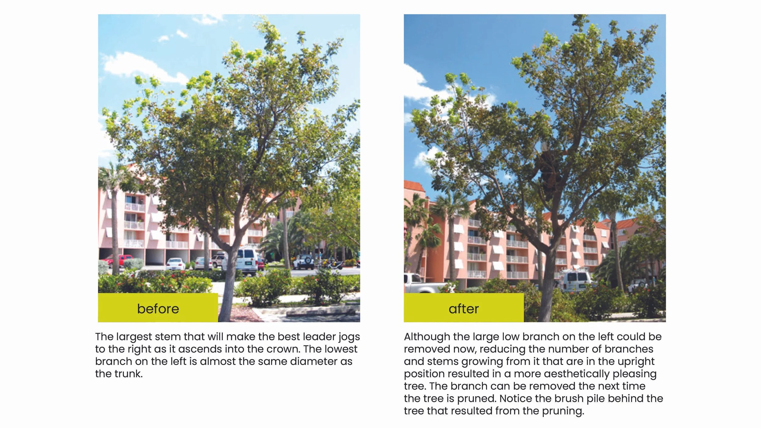 Structural Pruning Pages7.jpg