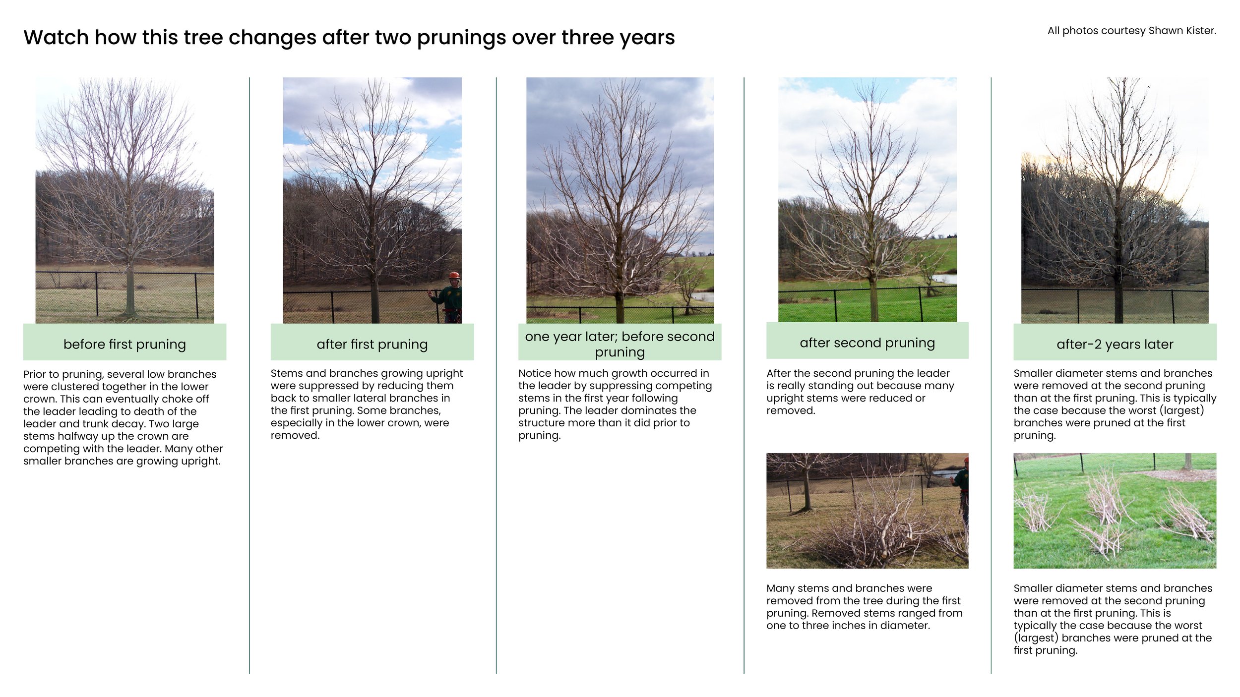 Structural Pruning Pages11.png