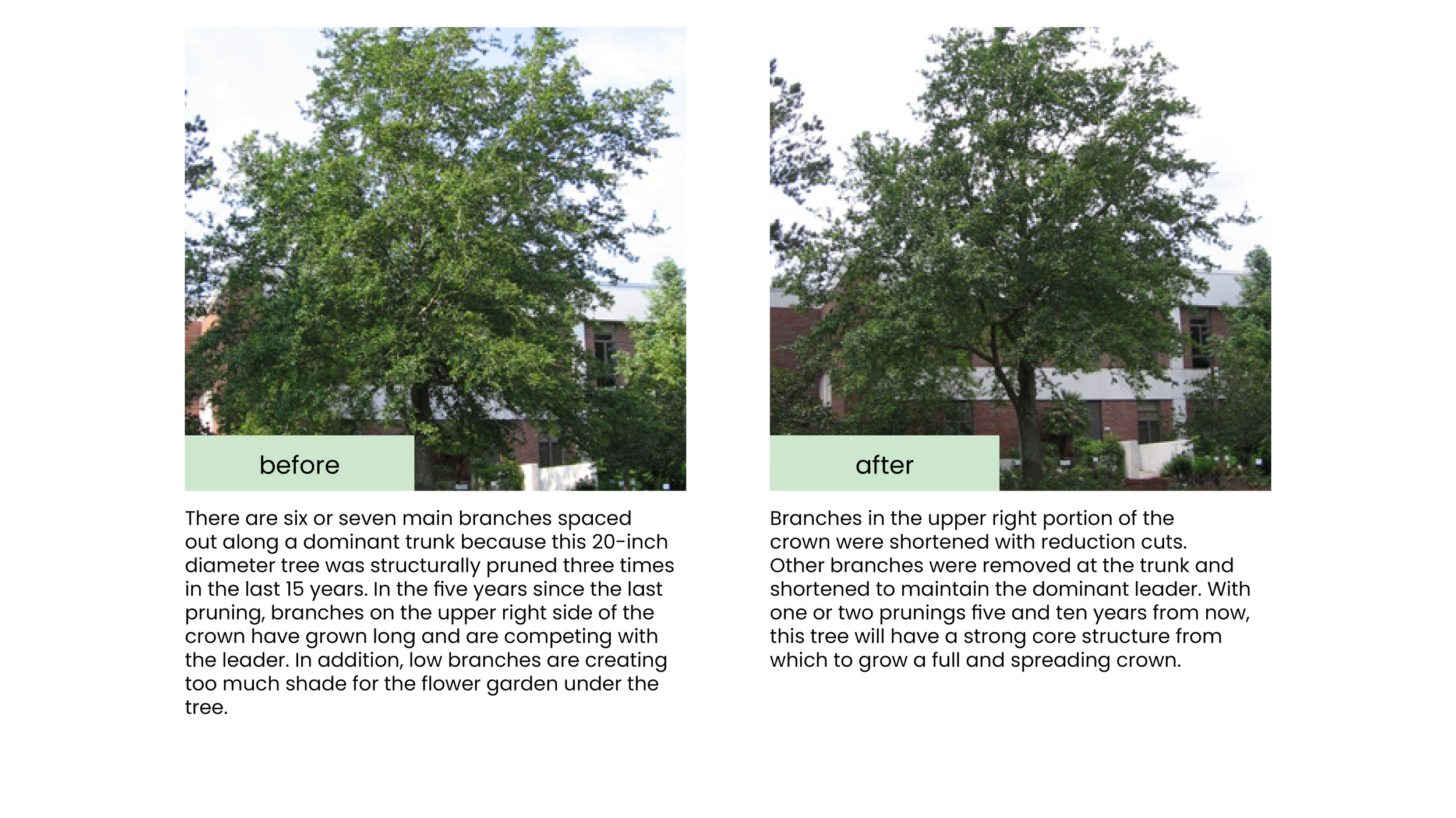 Structural Pruning Pages20.png