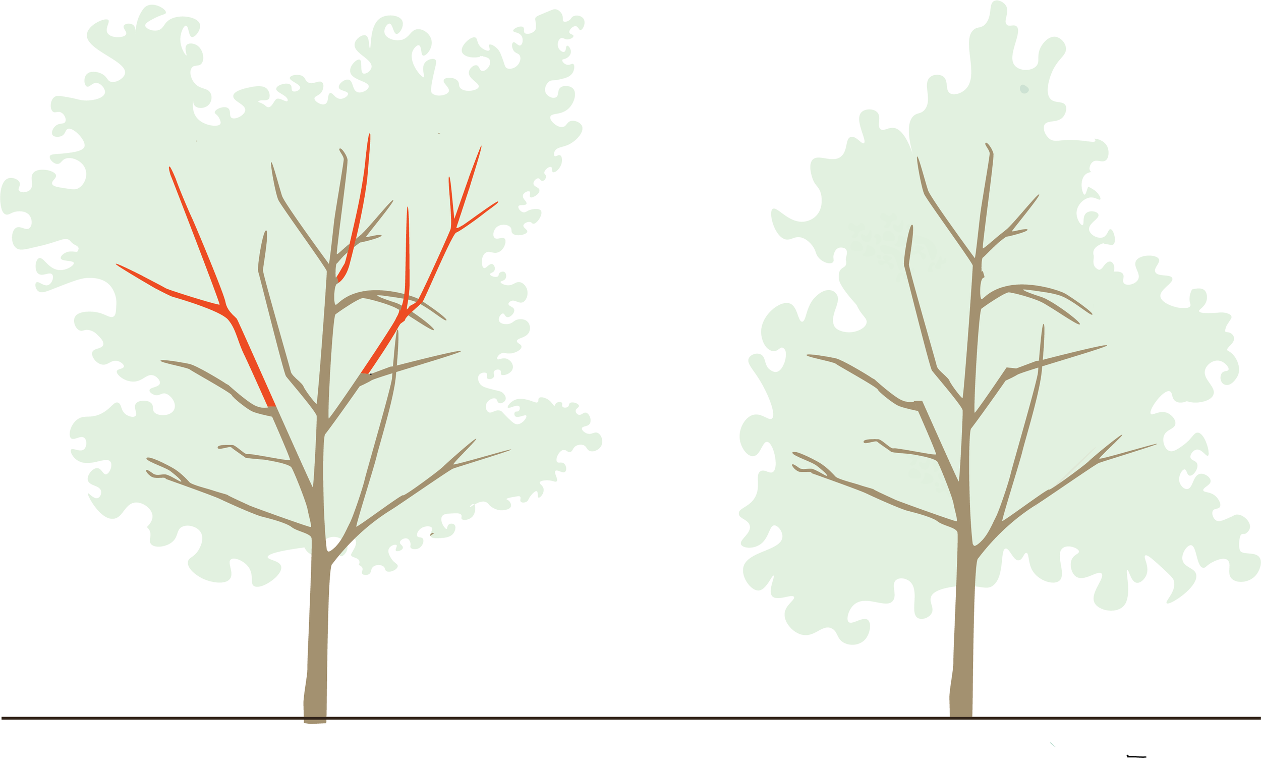 Two trees with brown trunks, one with red and brown branches, and a faint green background resembling leaves.