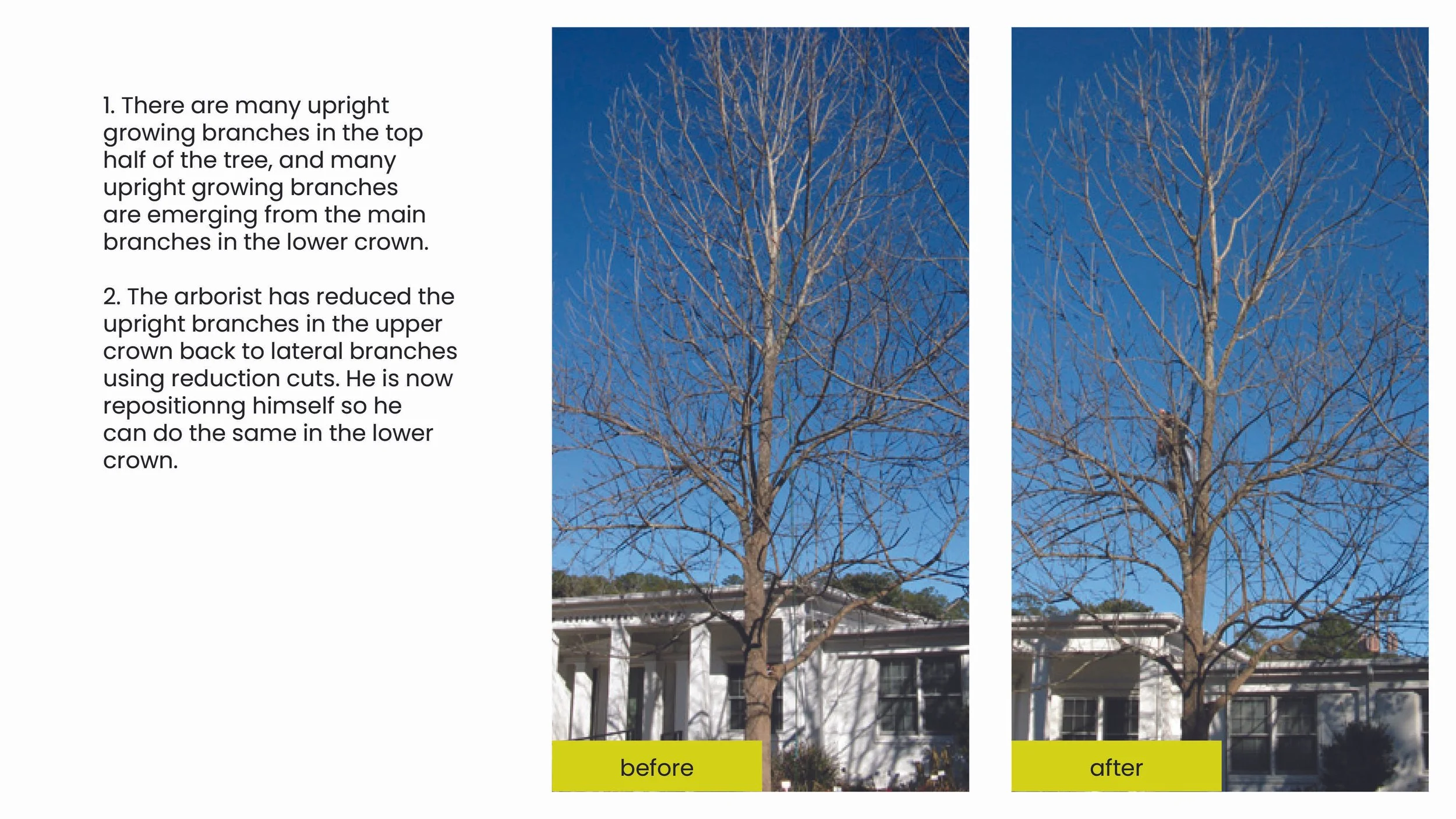 Structural Pruning Pages12.jpg