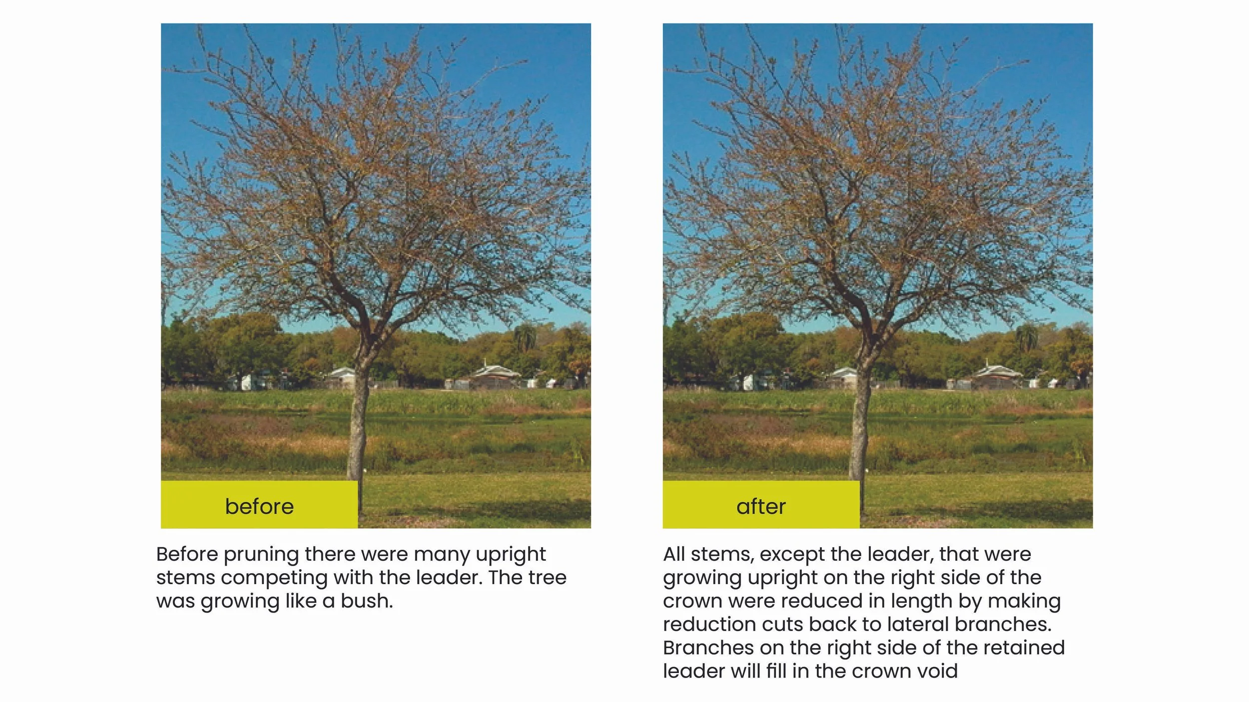 Structural Pruning Pages5.jpg