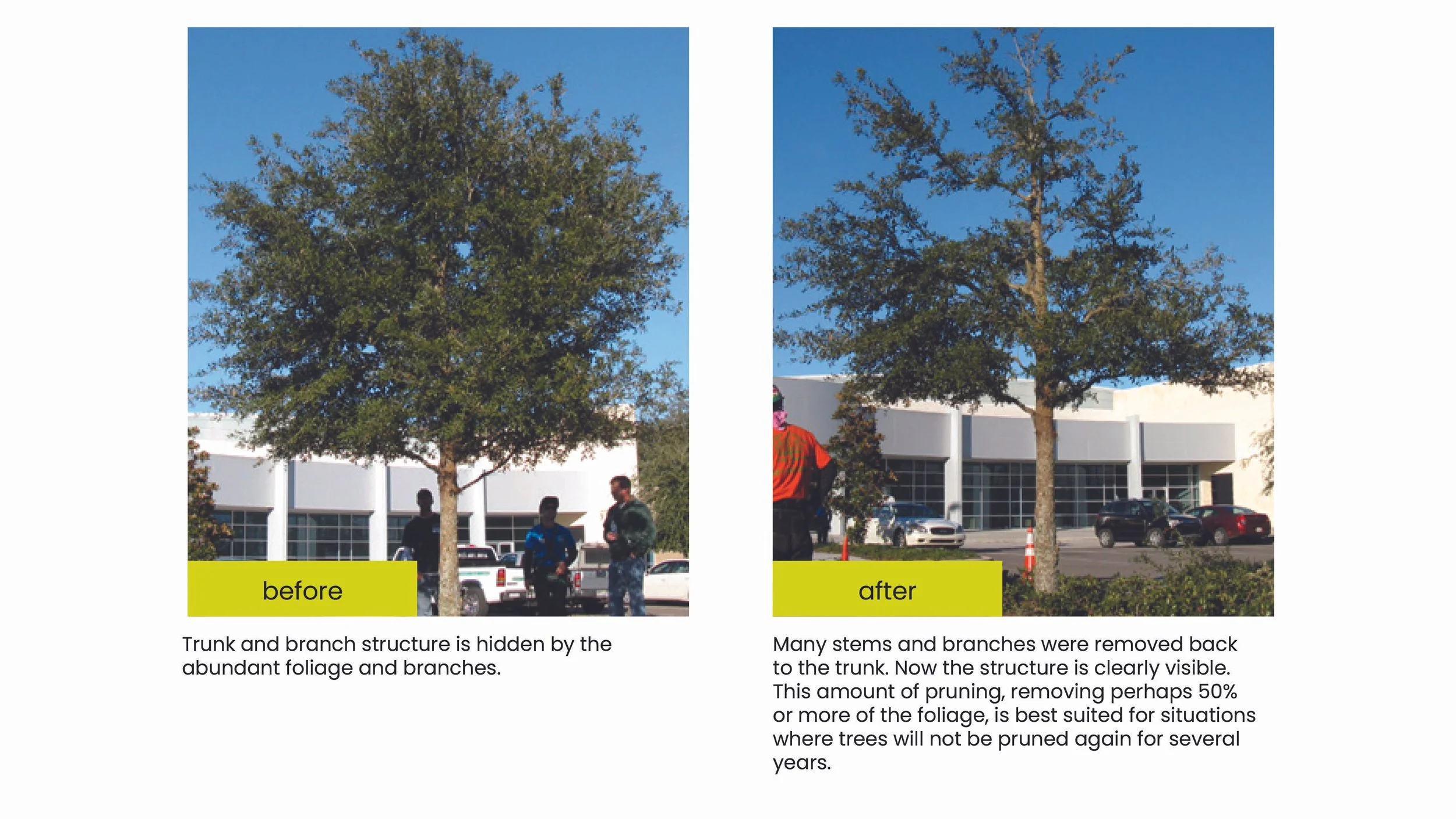 Structural Pruning Pages8.jpg