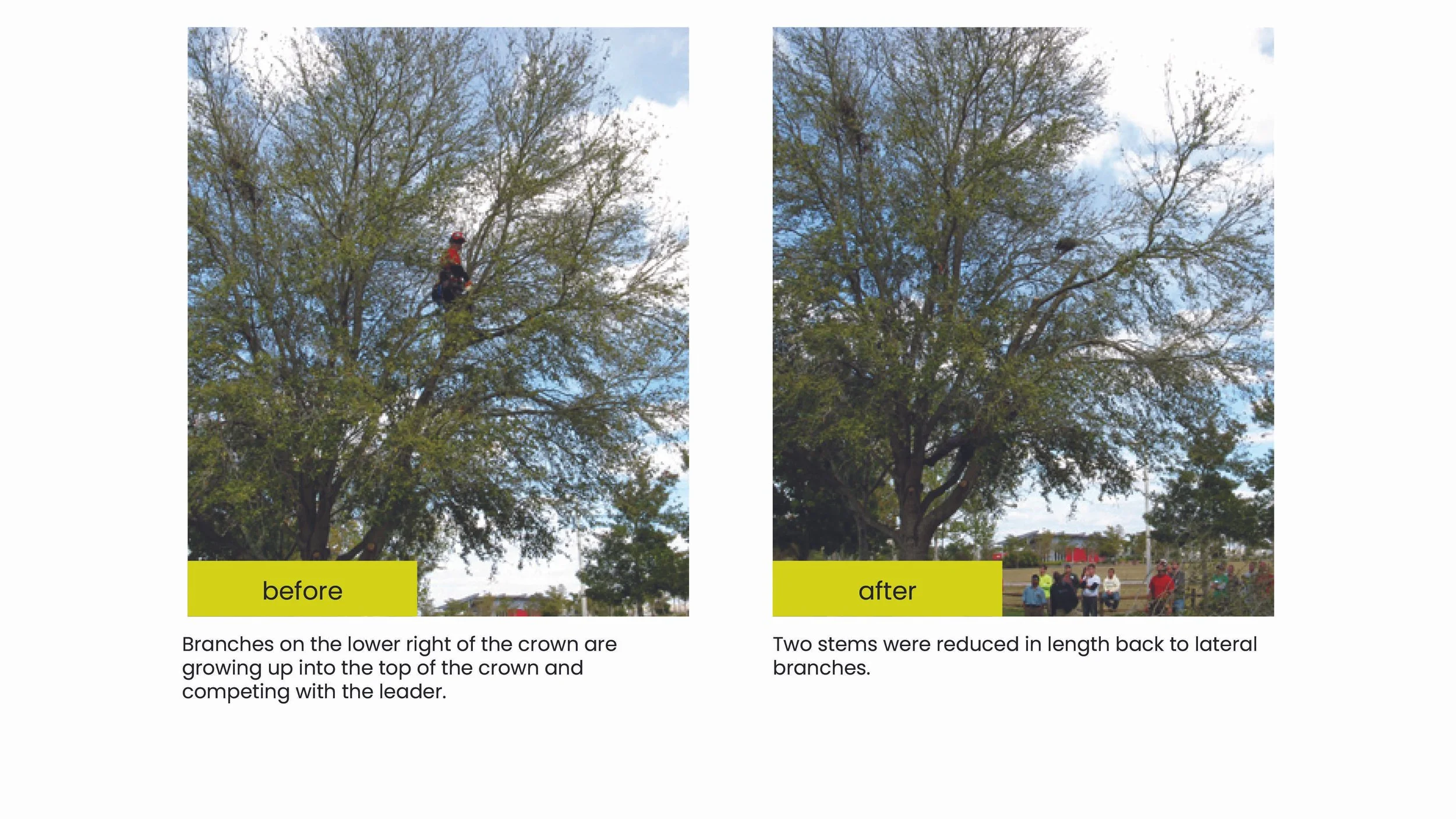 Structural Pruning Pages19.jpg