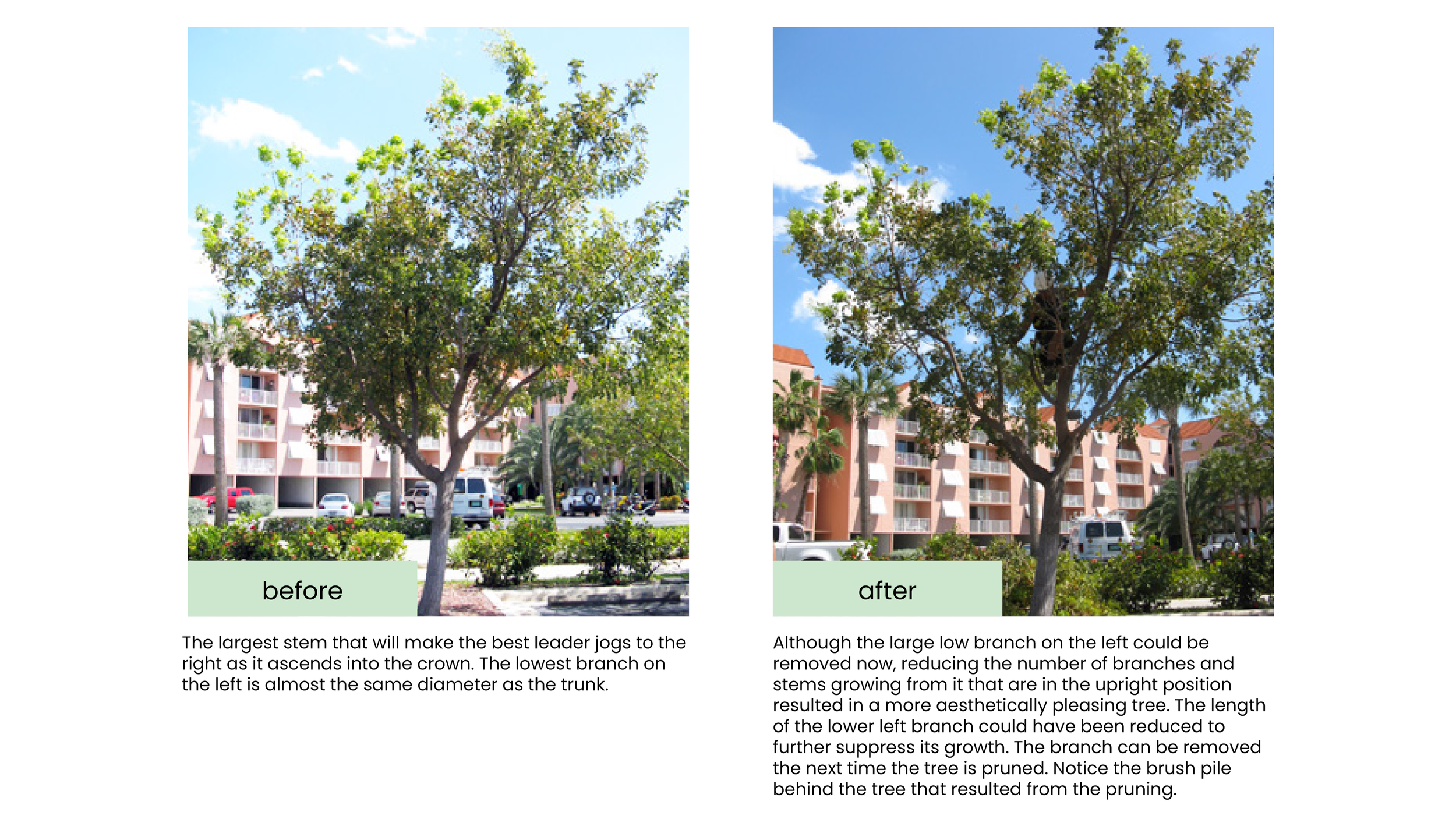 Structural Pruning Pages7.png