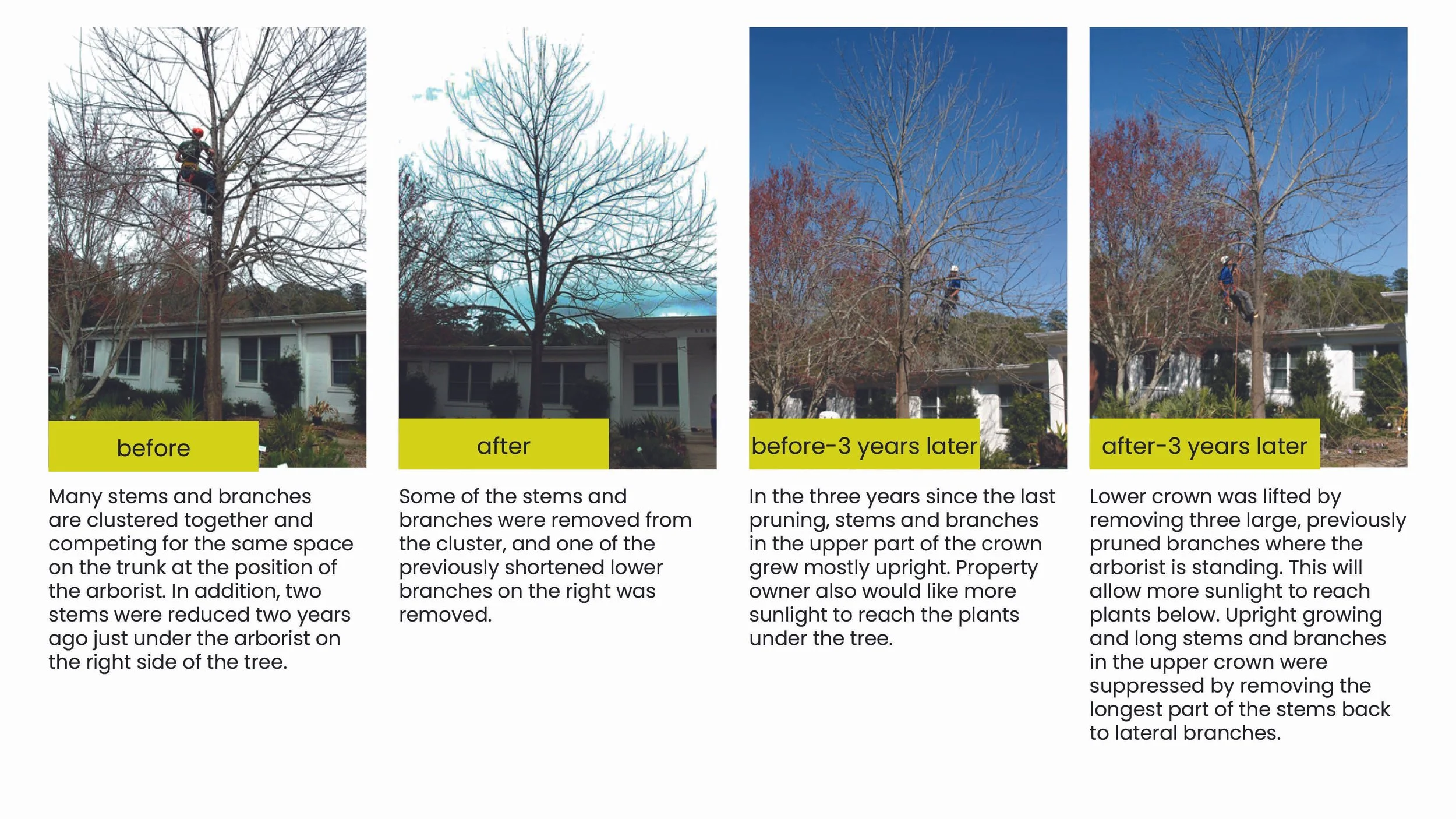 Structural Pruning Pages22.jpg
