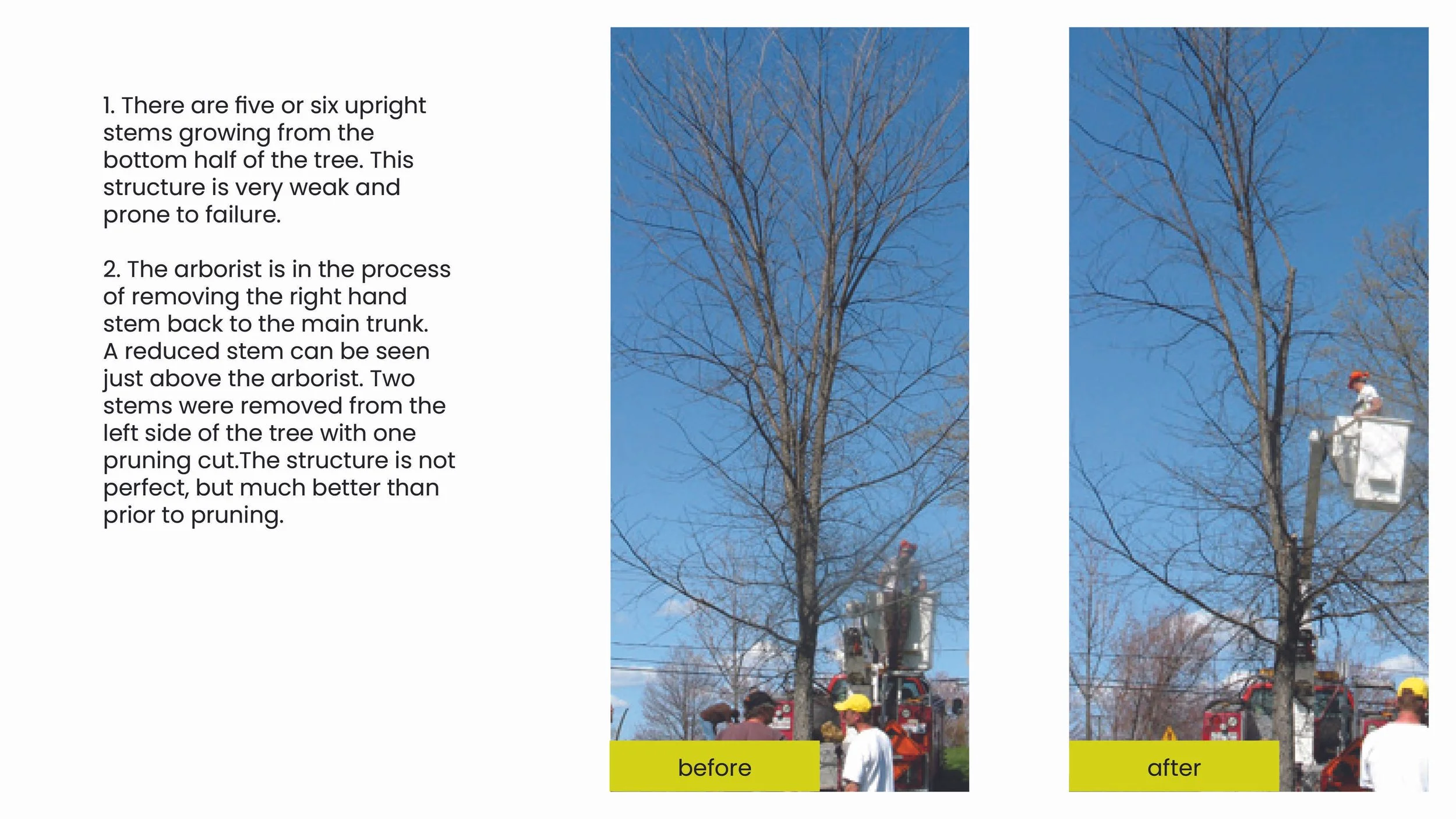 Structural Pruning Pages13.jpg