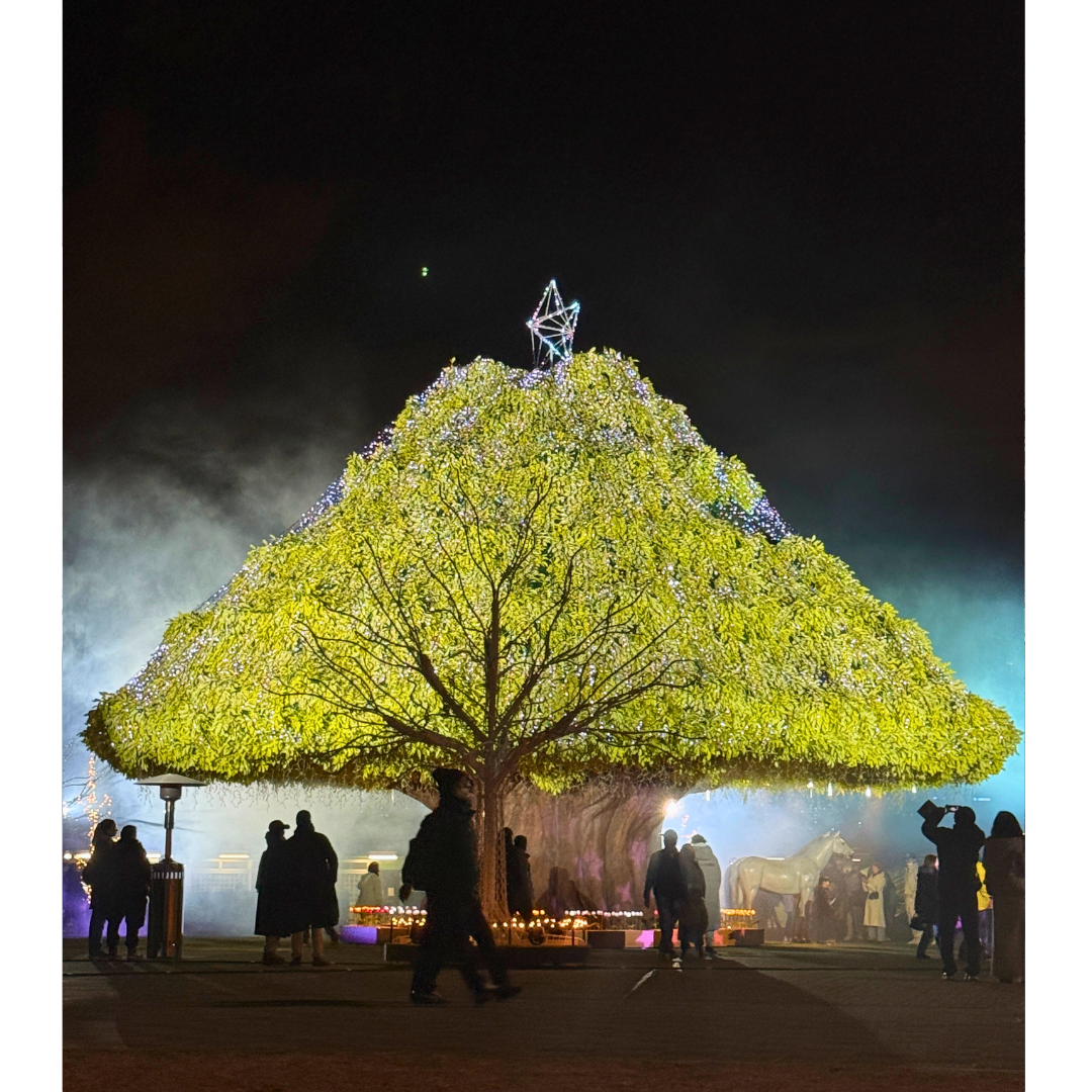 A Look at Tokyo’s Winter Illuminations (2024–2025)