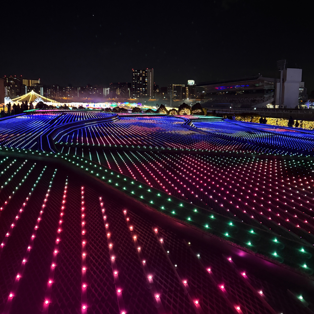 Twinkling LED Rice Fields 