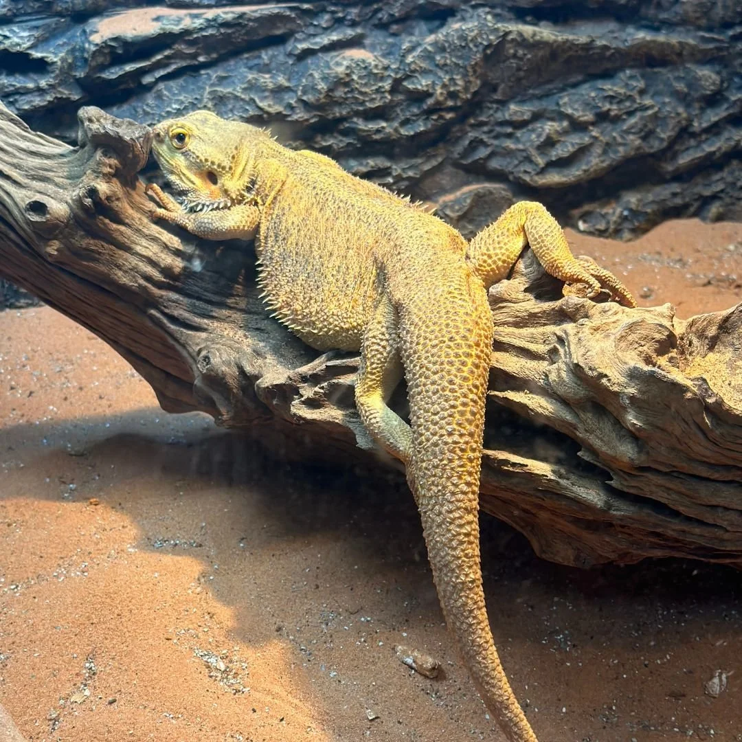 manila ocean park.jpg