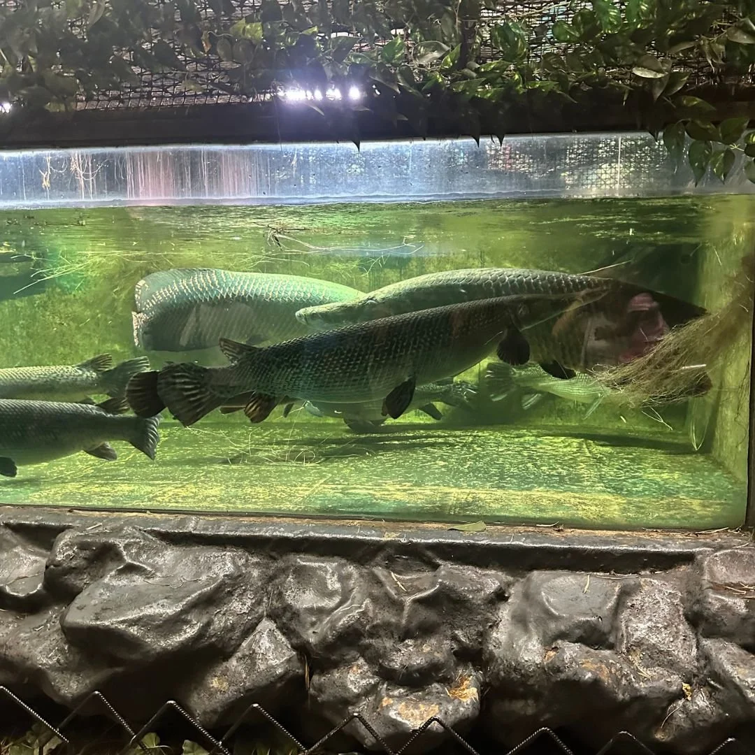 manila ocean park.jpg