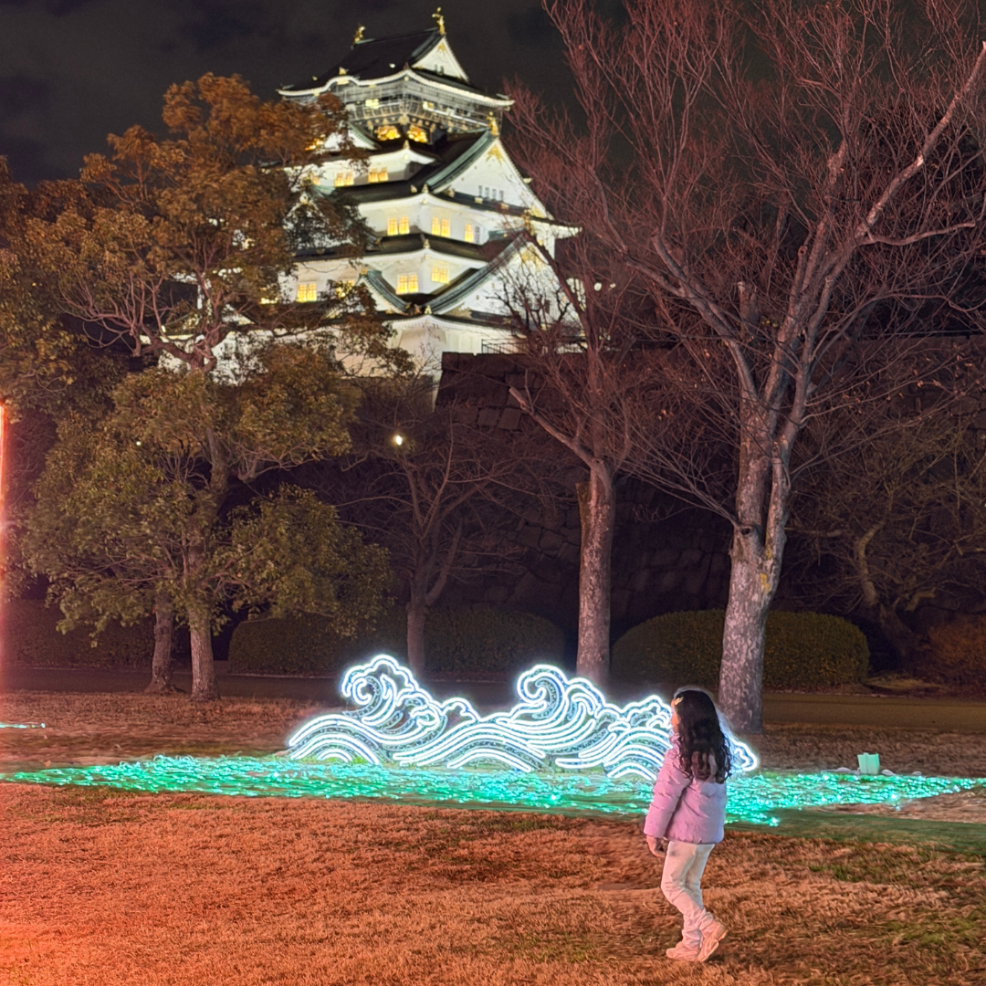 Osaka Castle looks especially beautiful, captured here glowing in the background of the illumination