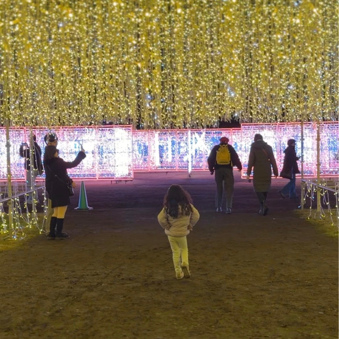  Osaka Castle Illuminage 2025 winter lights 