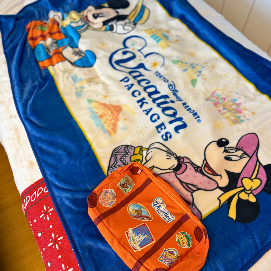 Disneyland Blanket