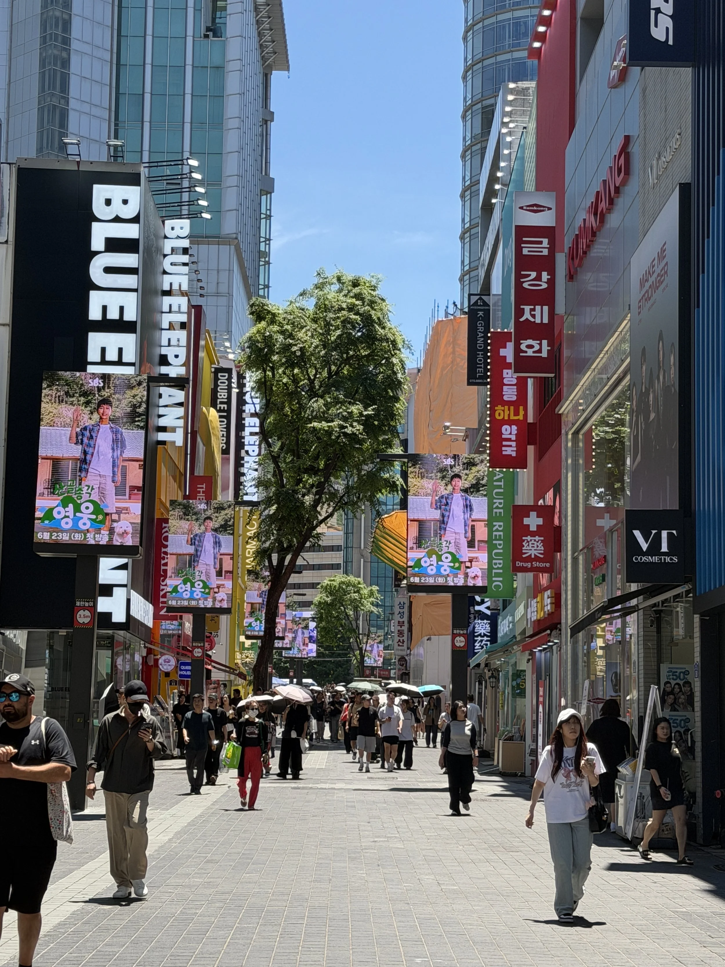 Myeongdong Shopping Street