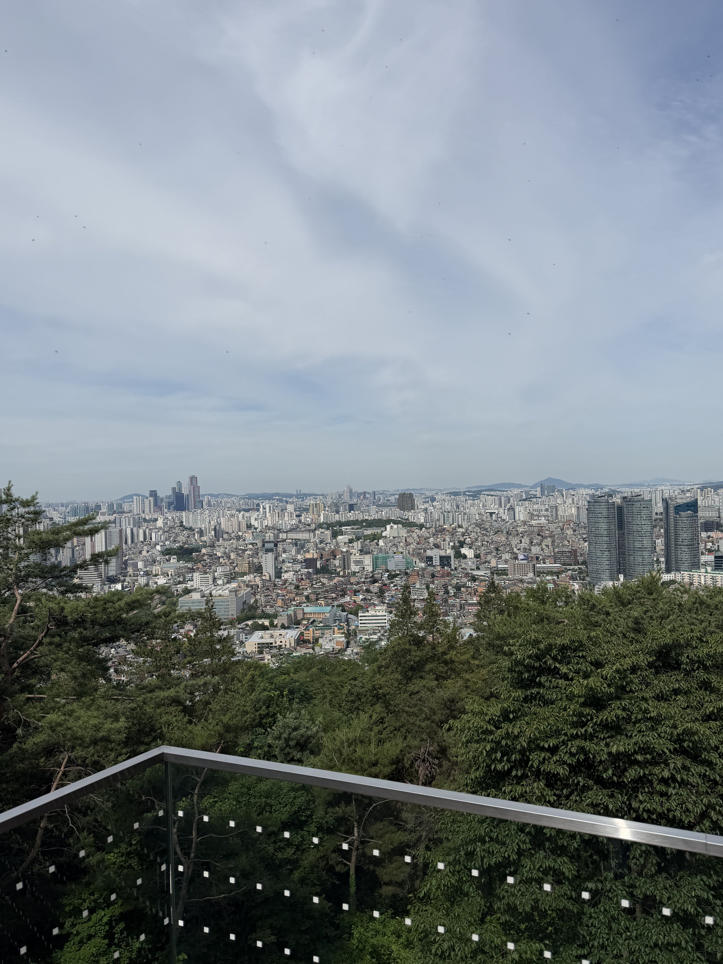 Seoul View from the Namsan Trail
