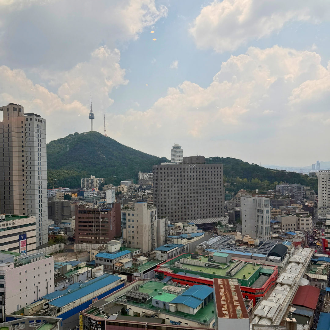 Namsan View Tower.png