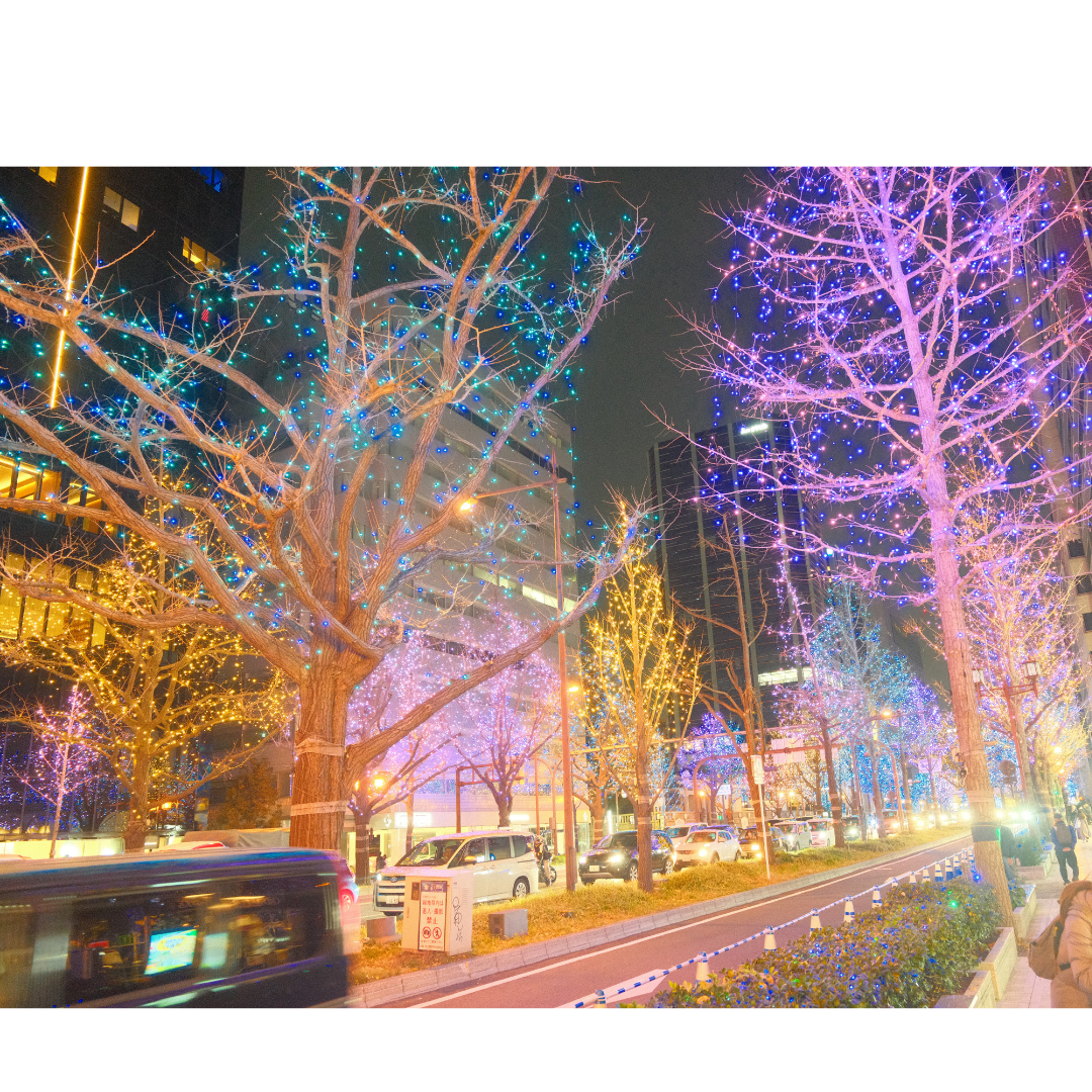 Festive winter illuminations on Midosuji Avenue